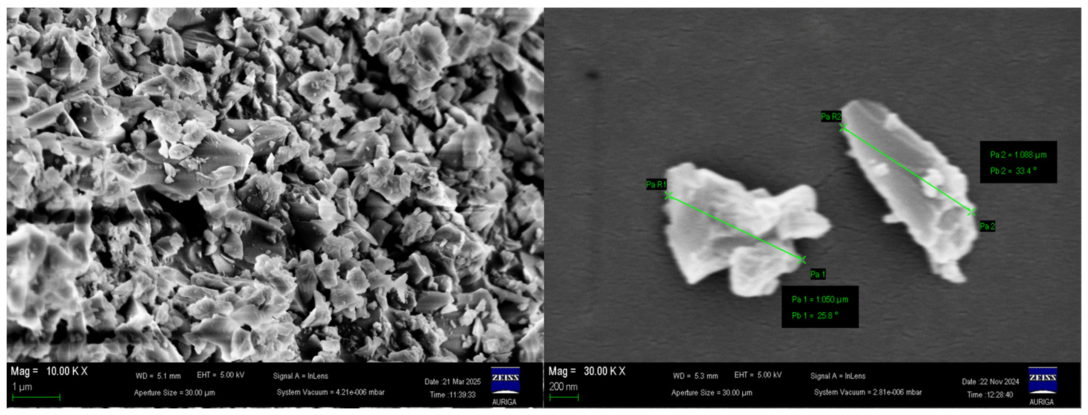 Lubricants 13 00499 g001