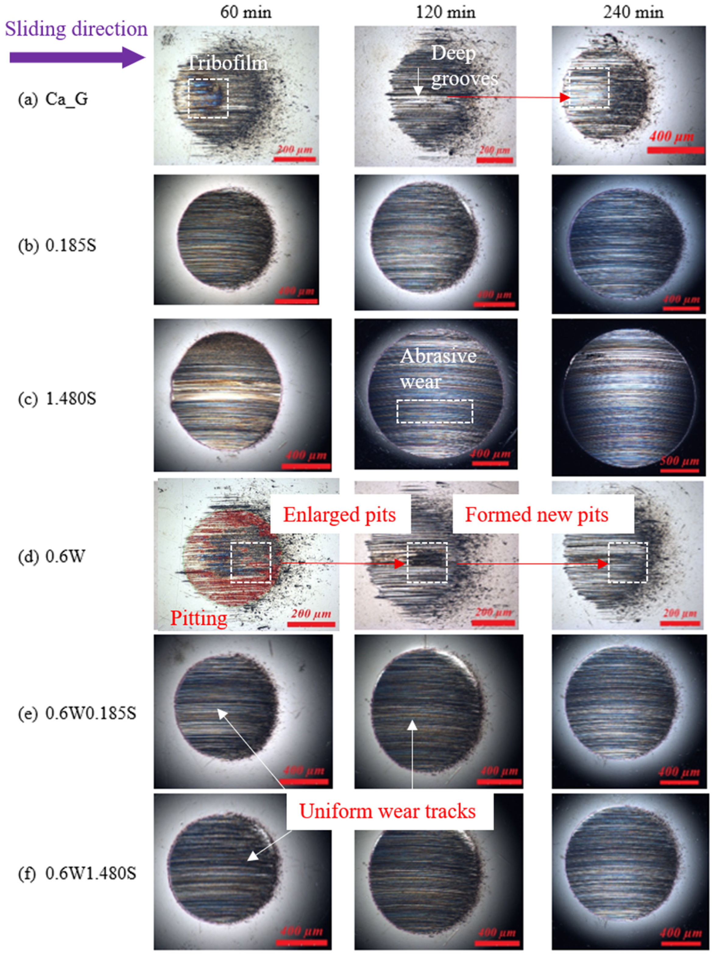 Lubricants 13 00499 g006