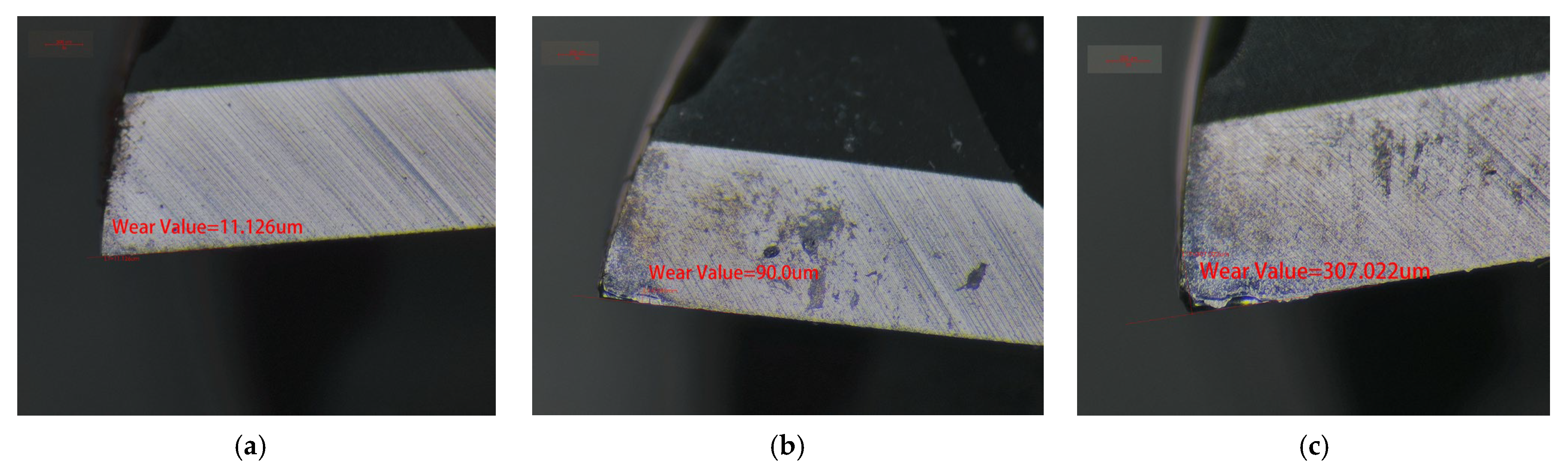 Lubricants 13 00500 g010 Lubricants 13 00500 g010