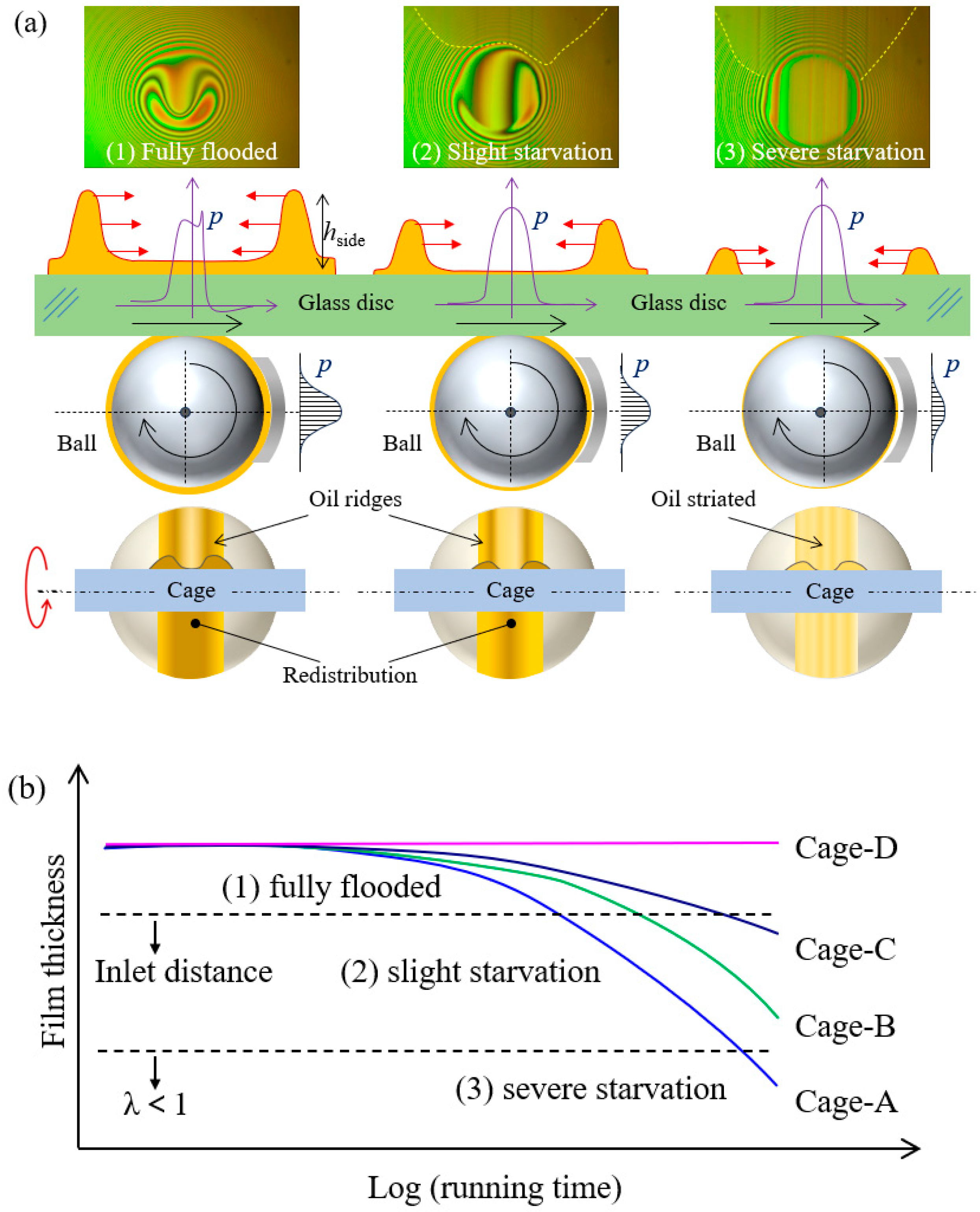 Lubricants 13 00501 g017