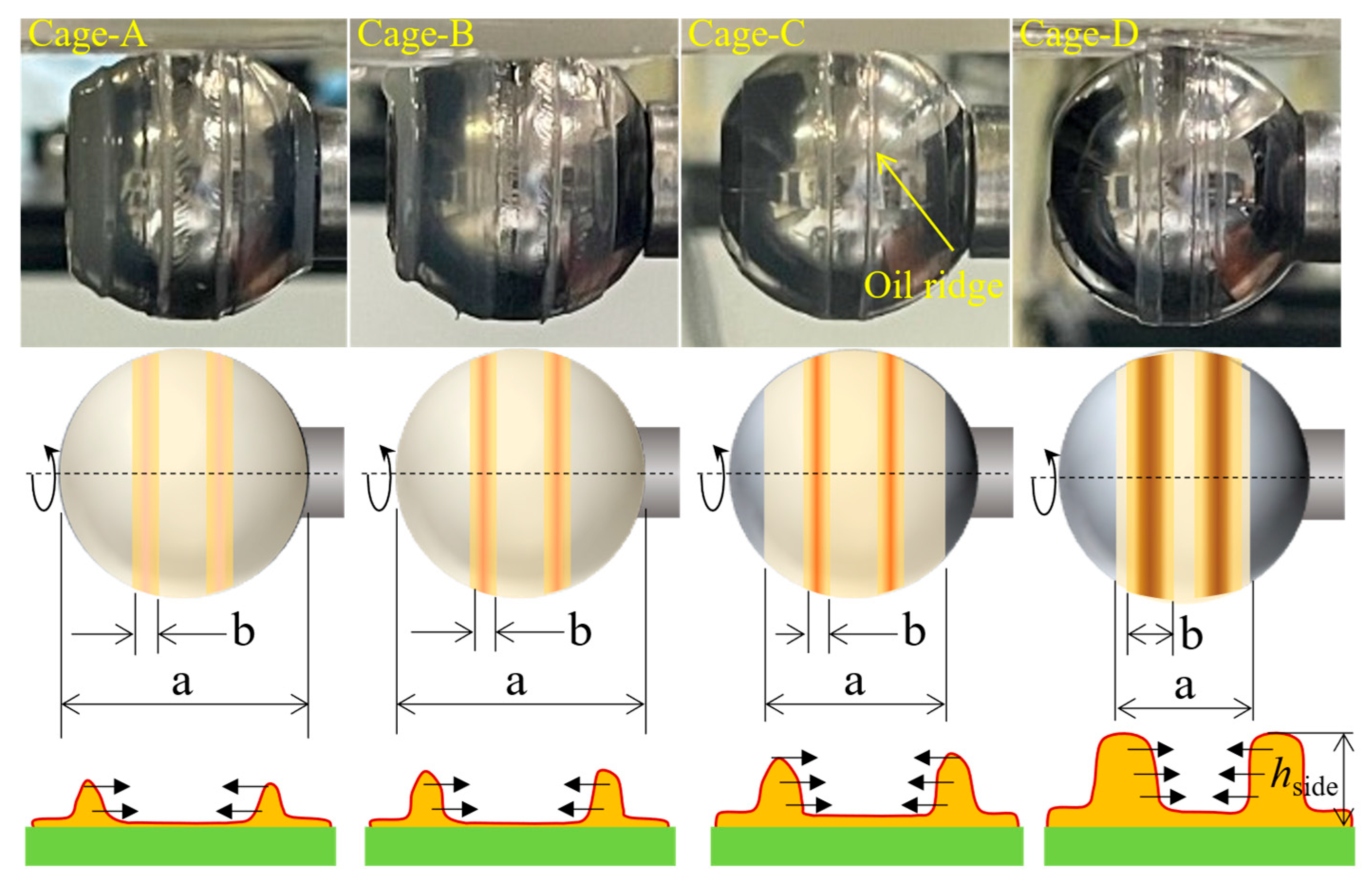 Lubricants 13 00501 g021