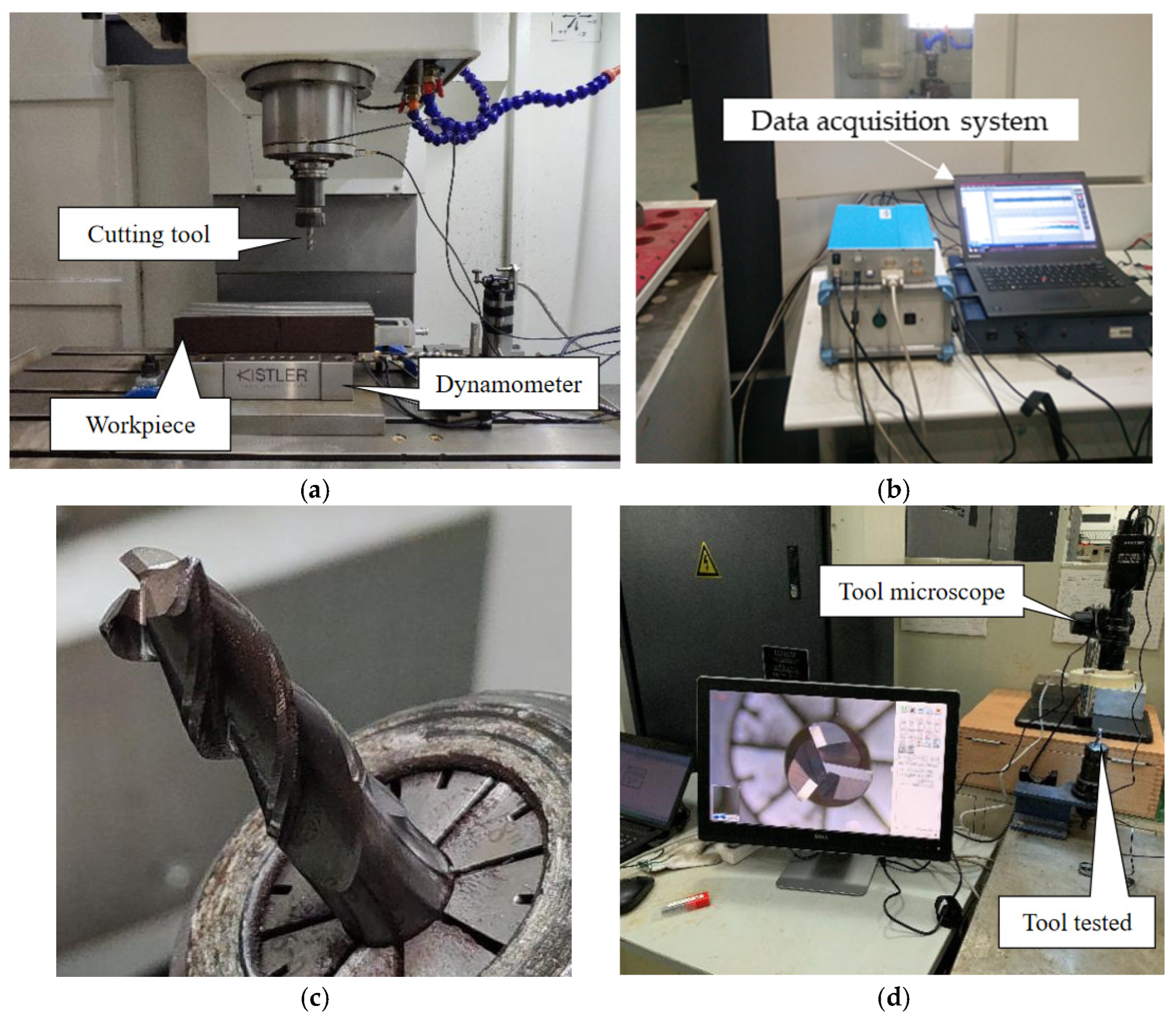 Lubricants 13 00503 g004