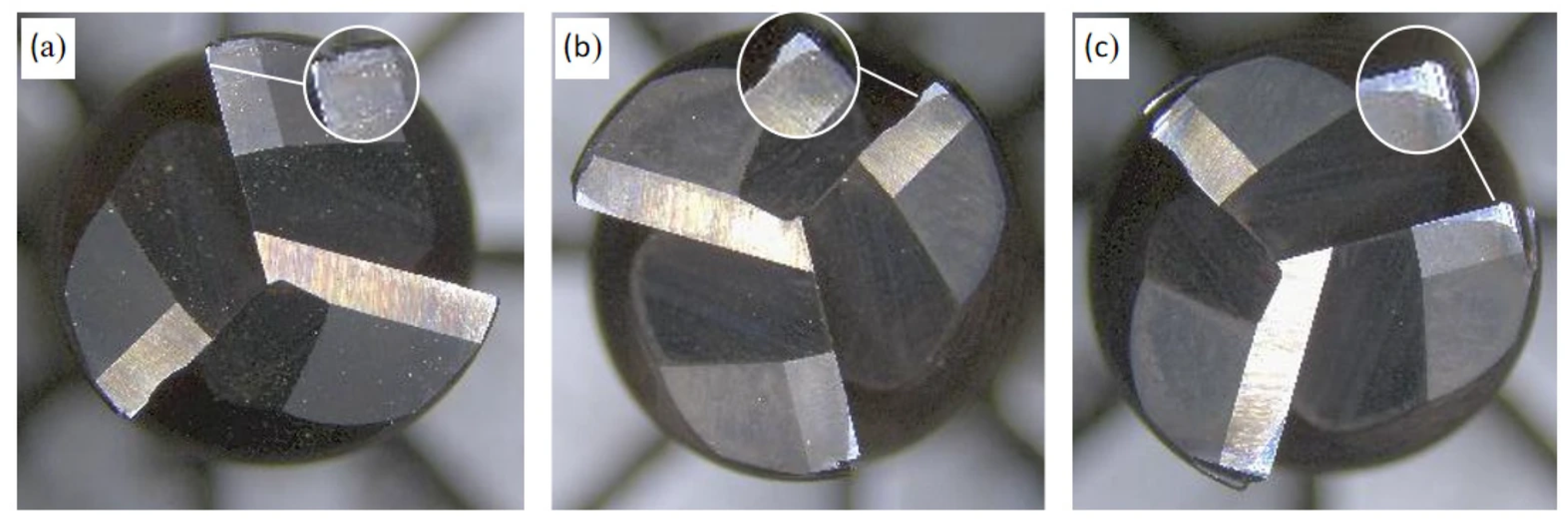 Lubricants 13 00503 g005
