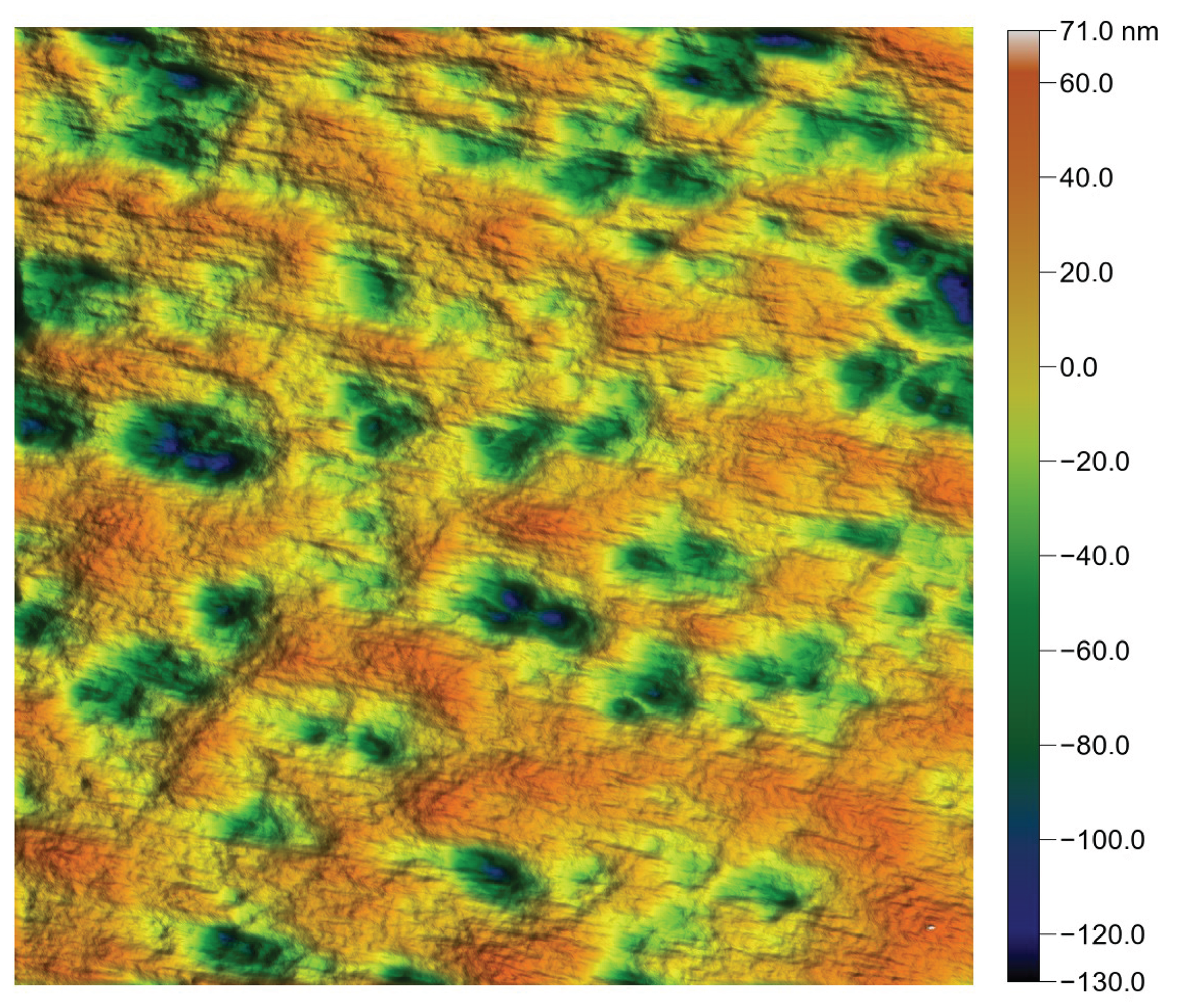 Lubricants 13 00506 g027