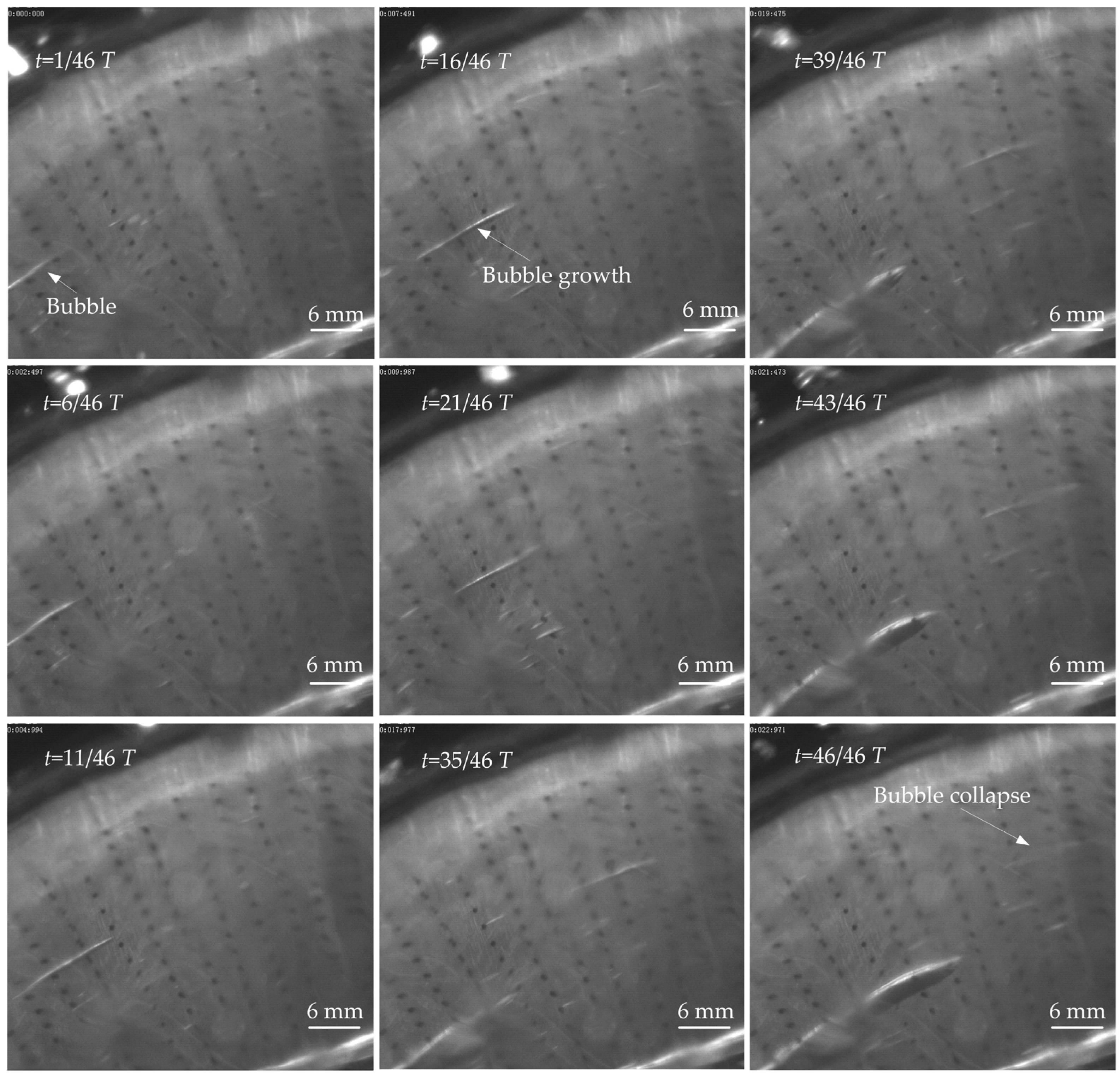 Lubricants 13 00513 g024