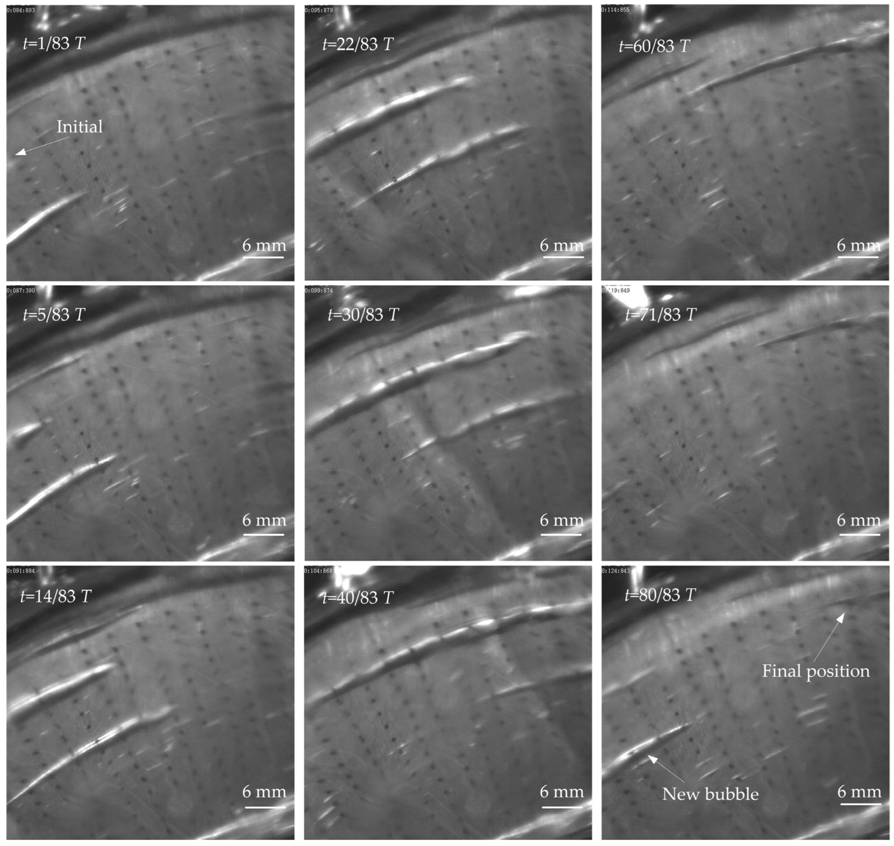 Lubricants 13 00513 g025