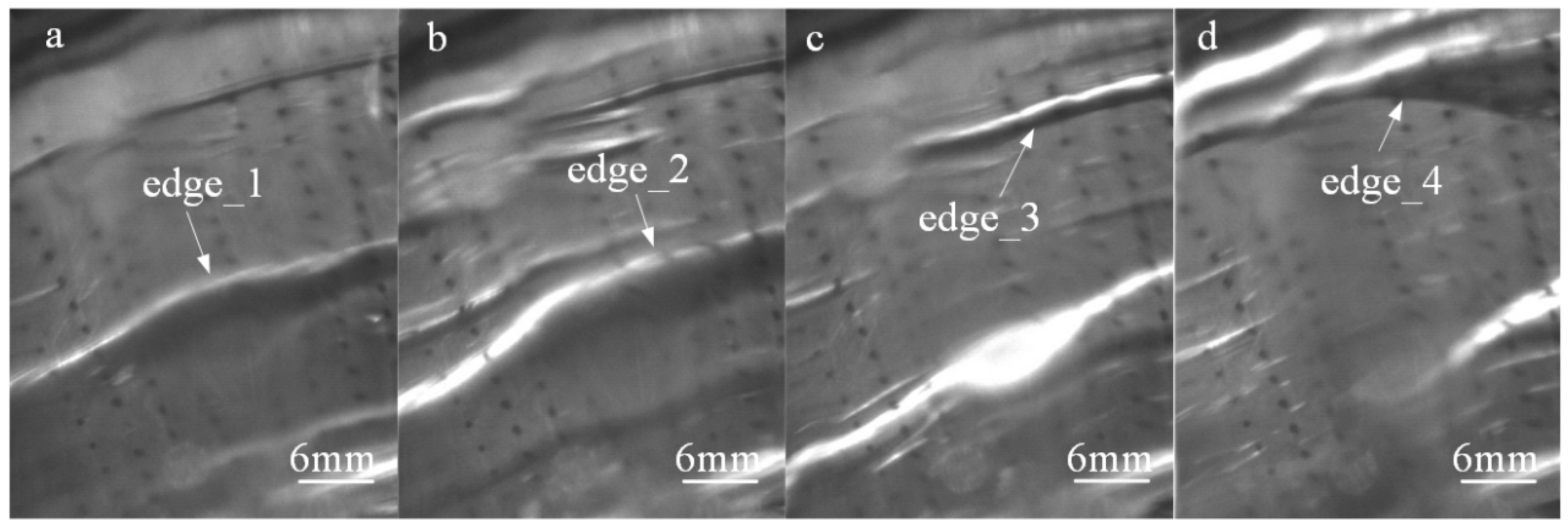 Lubricants 13 00513 g026