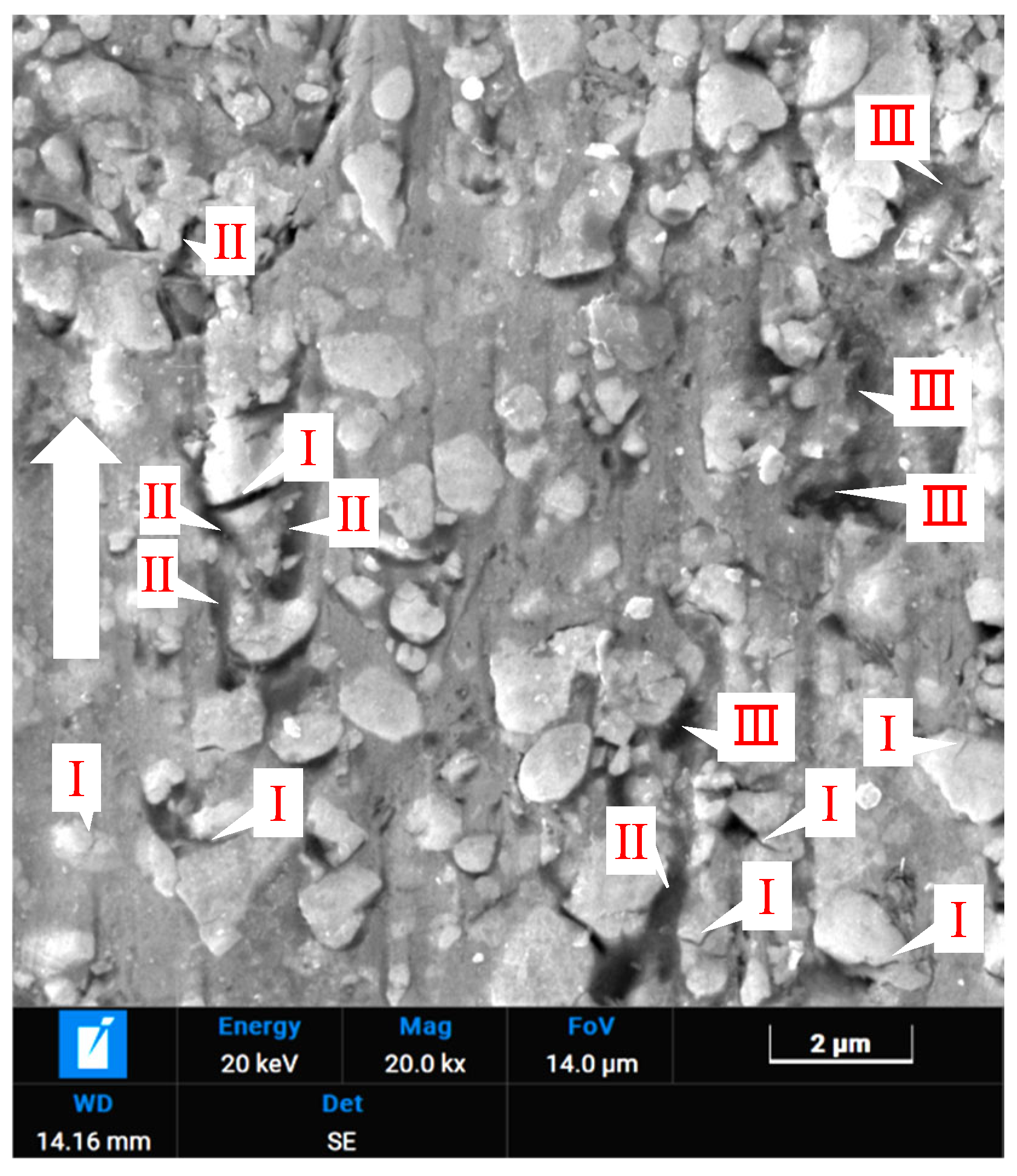 Lubricants 13 00516 g008