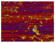 Lubricants 13 00517 i041 Lubricants 13 00517 i041