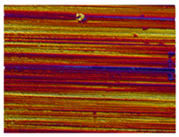 Lubricants 13 00517 i043 Lubricants 13 00517 i043