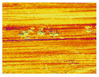 Lubricants 13 00517 i050 Lubricants 13 00517 i050