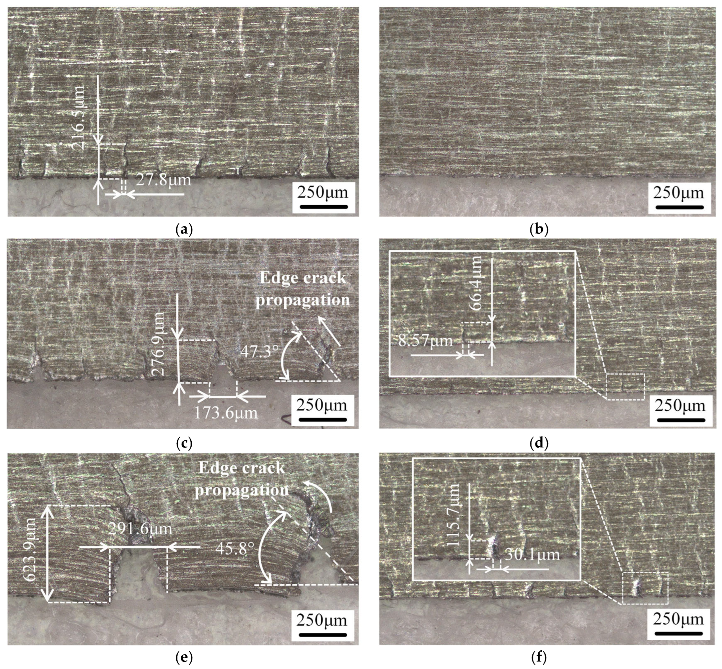 Lubricants 13 00518 g006