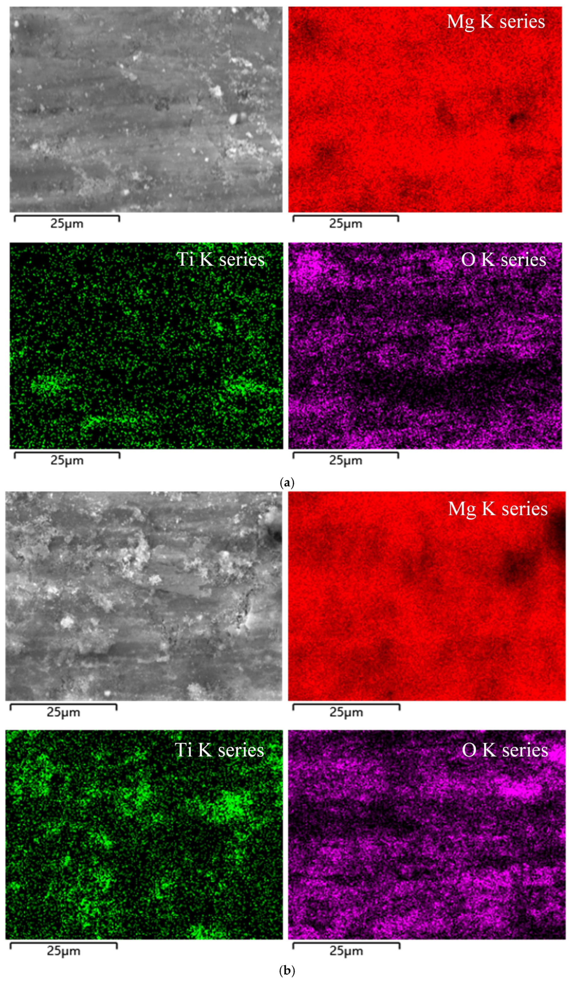 Lubricants 13 00518 g011a