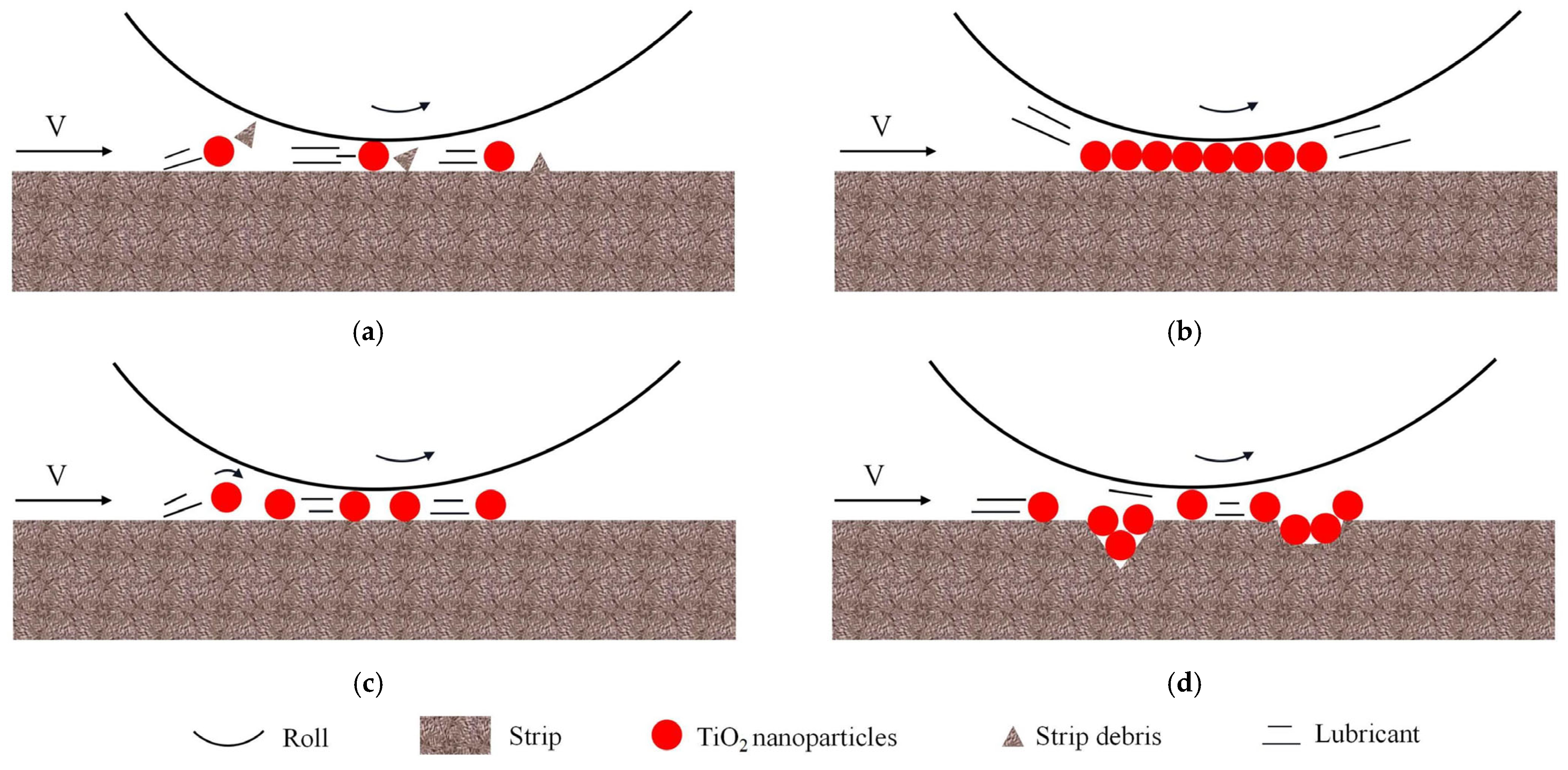 Lubricants 13 00518 g012