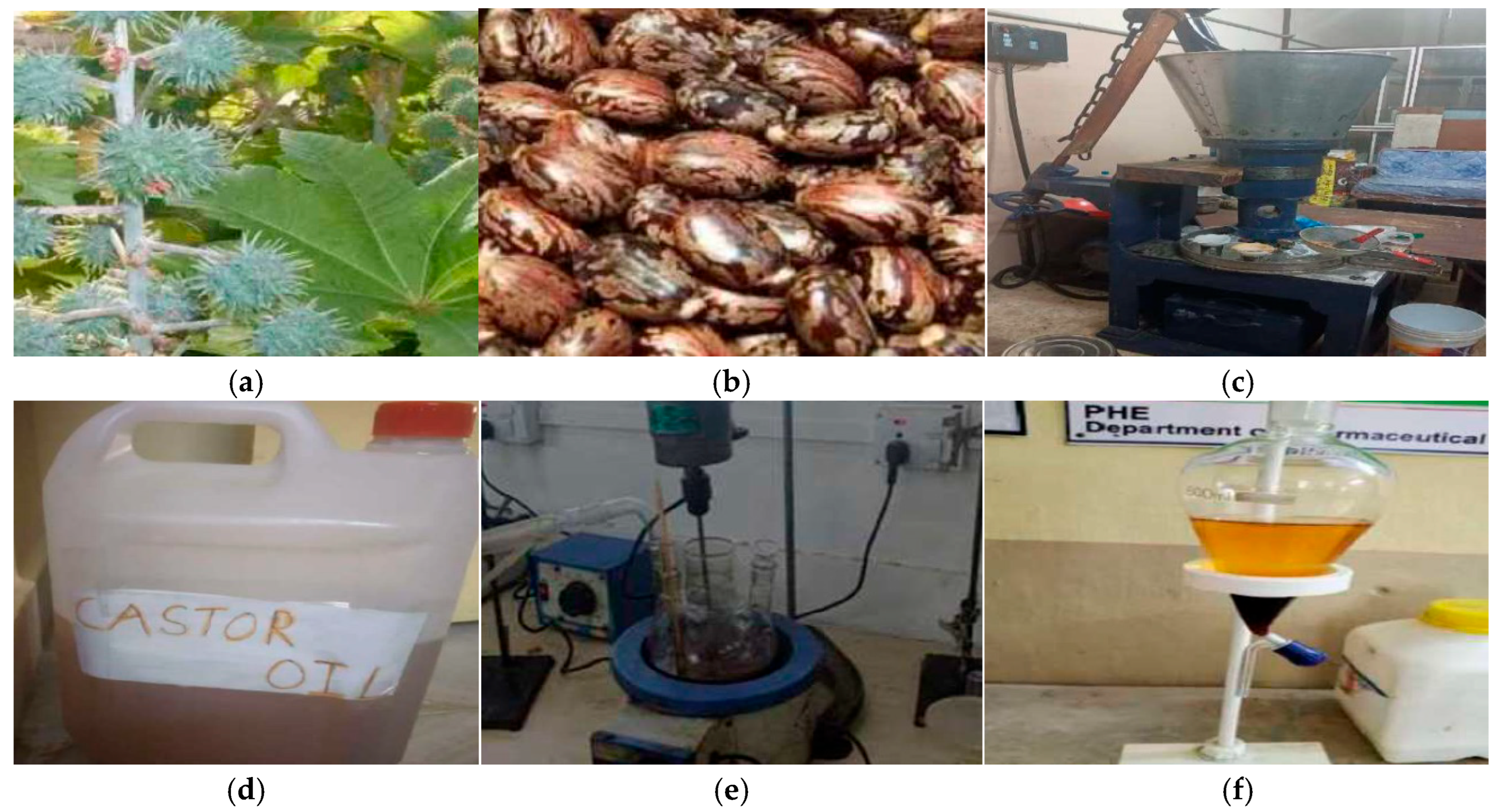 Lubricants 13 00523 g001