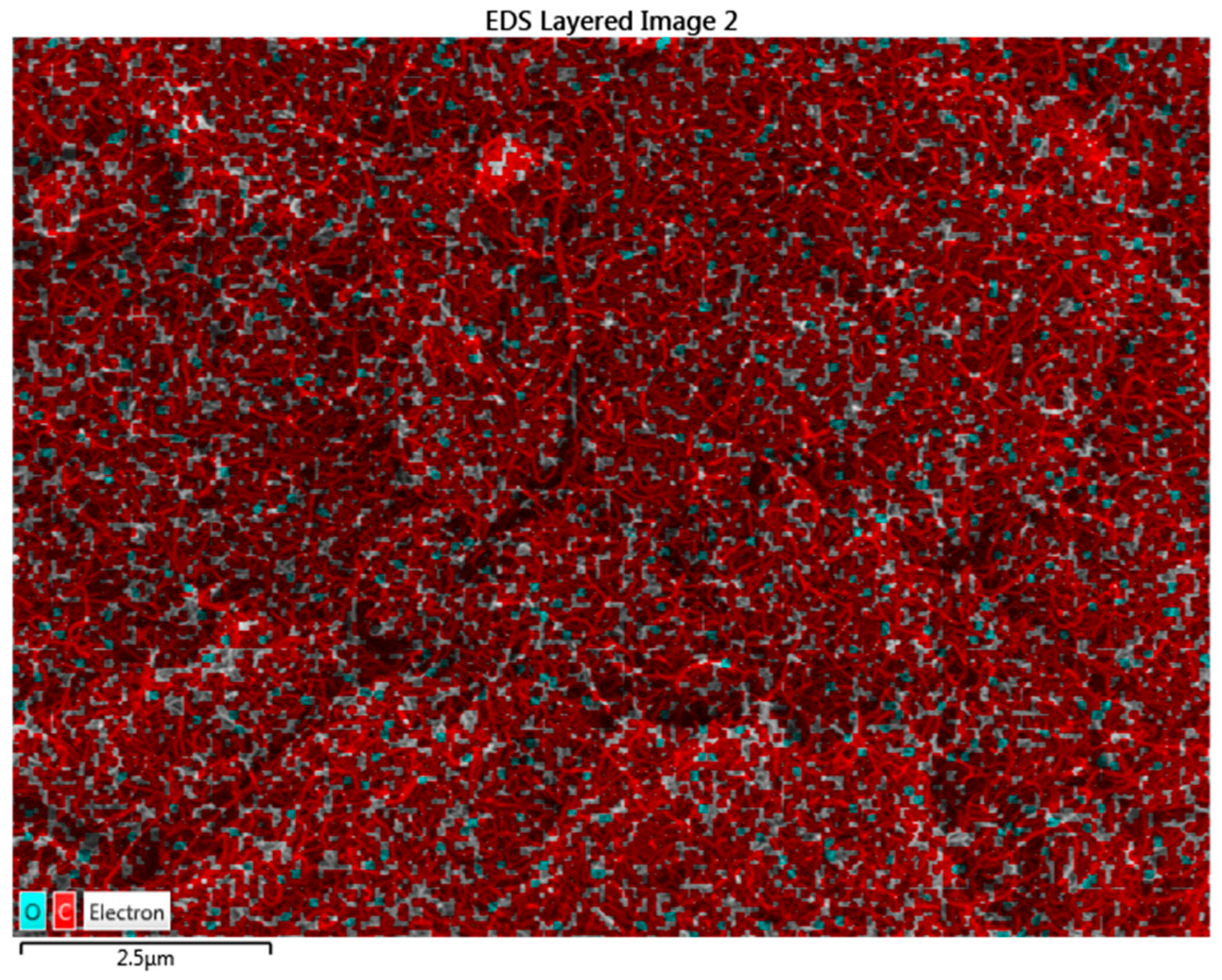 Lubricants 13 00523 g003
