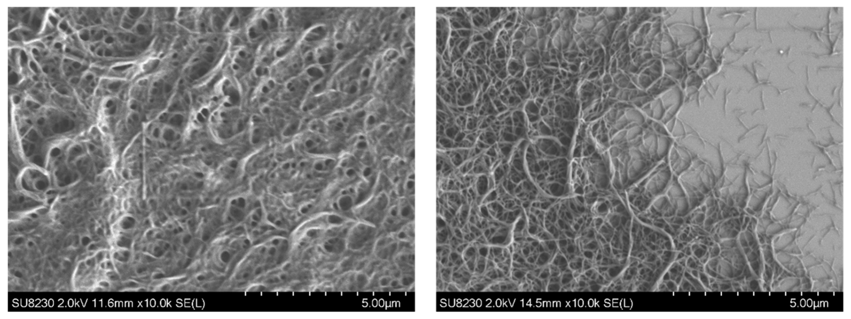 Lubricants 13 00530 g014 Lubricants 13 00530 g014