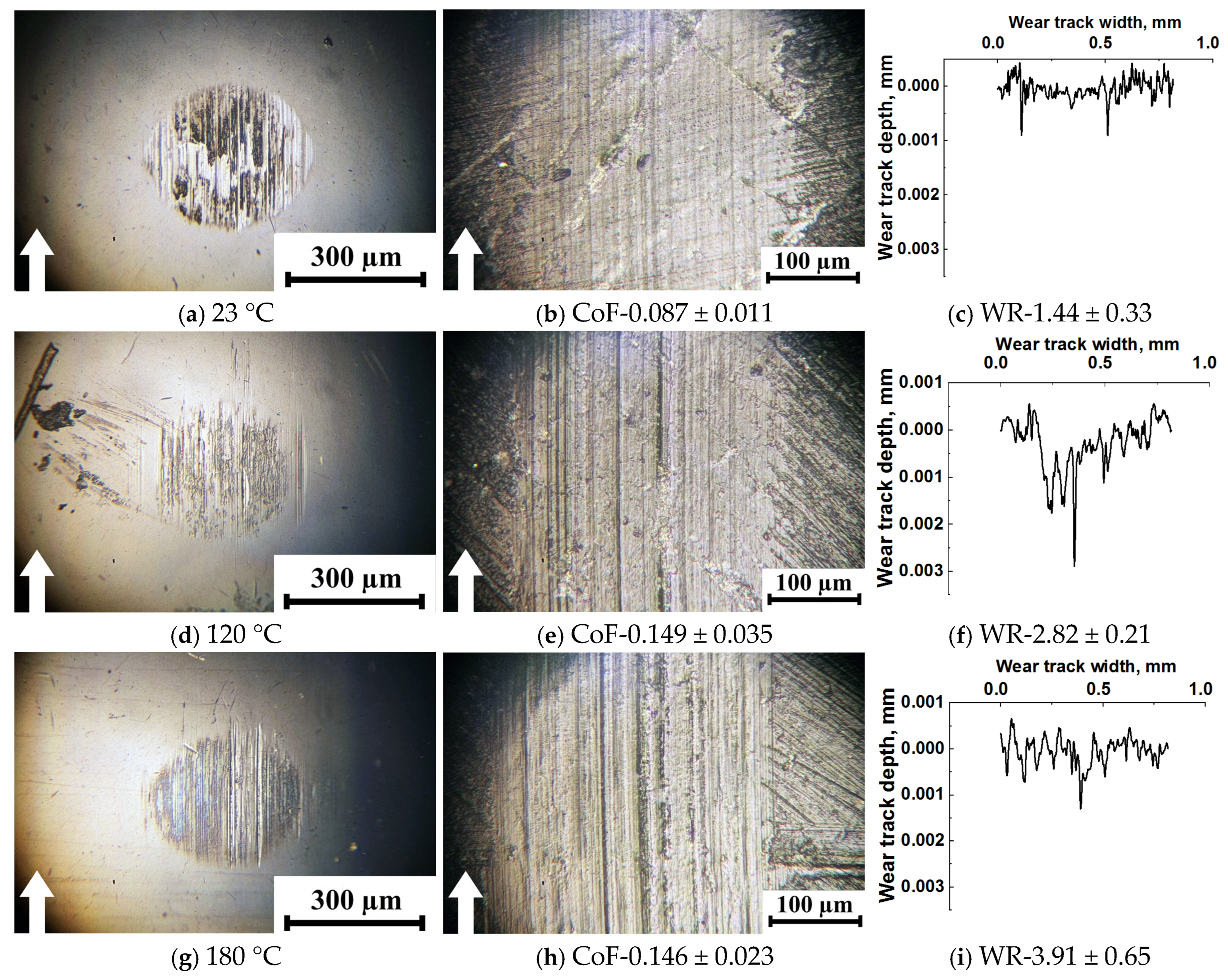 Lubricants 13 00535 g008