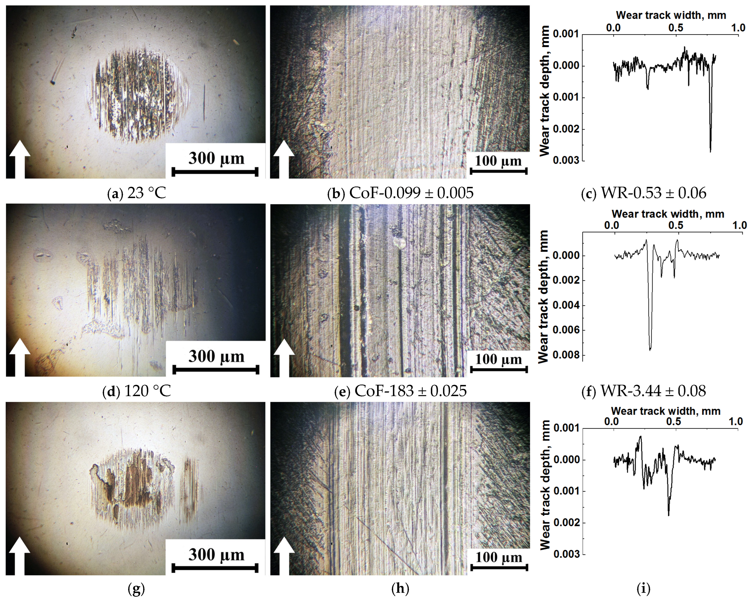 Lubricants 13 00535 g009