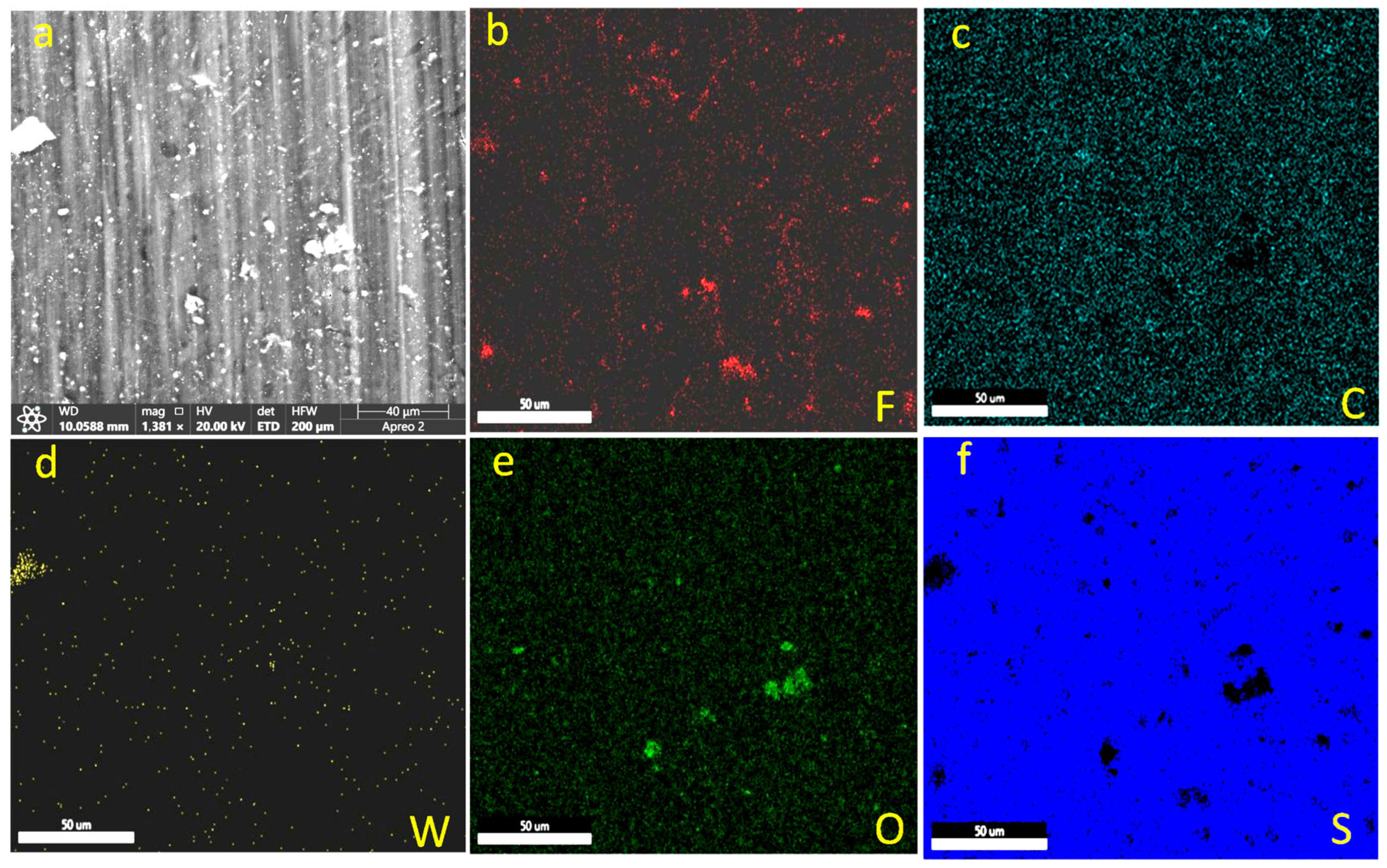 Lubricants 13 00535 g012