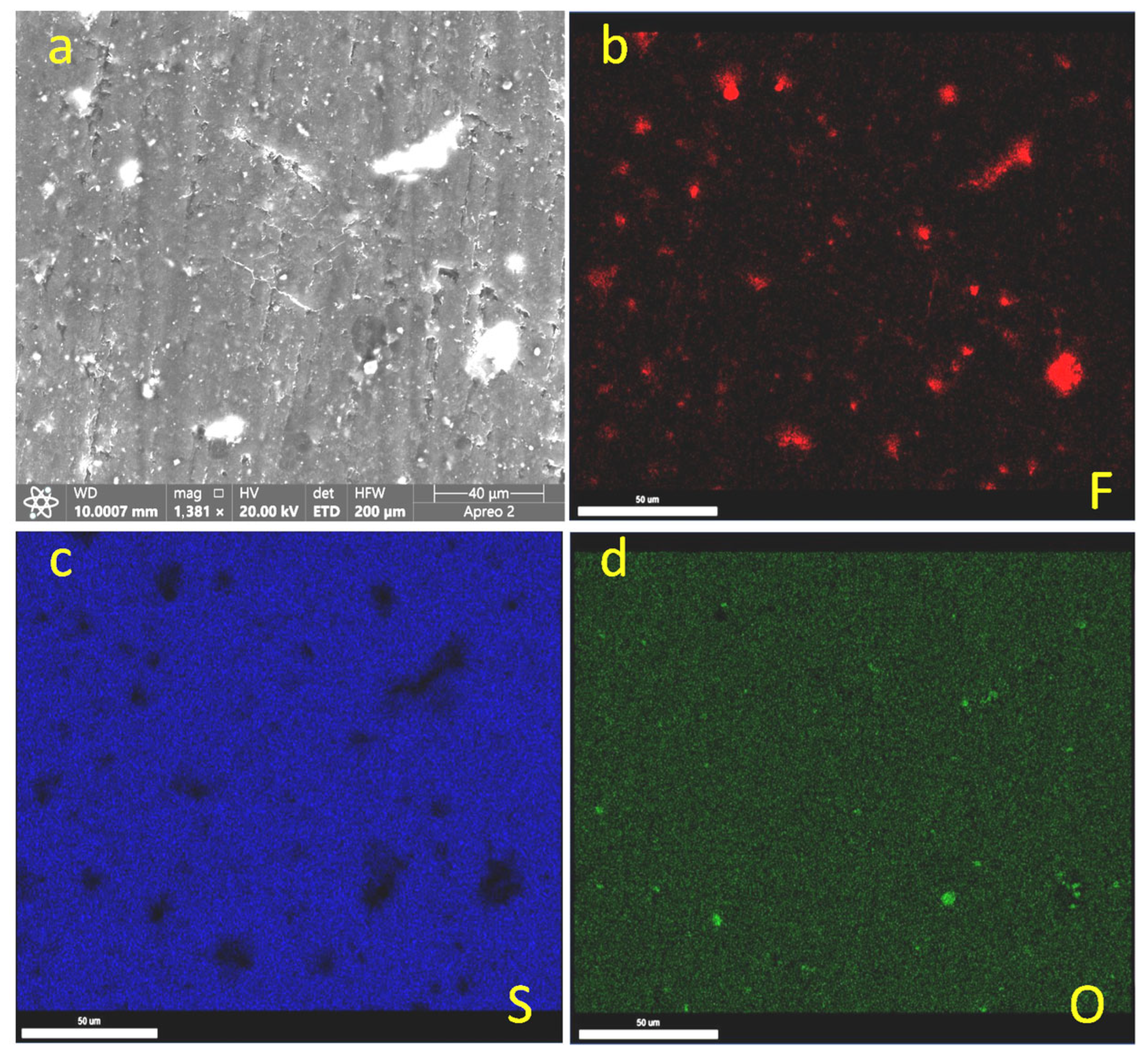 Lubricants 13 00535 g013
