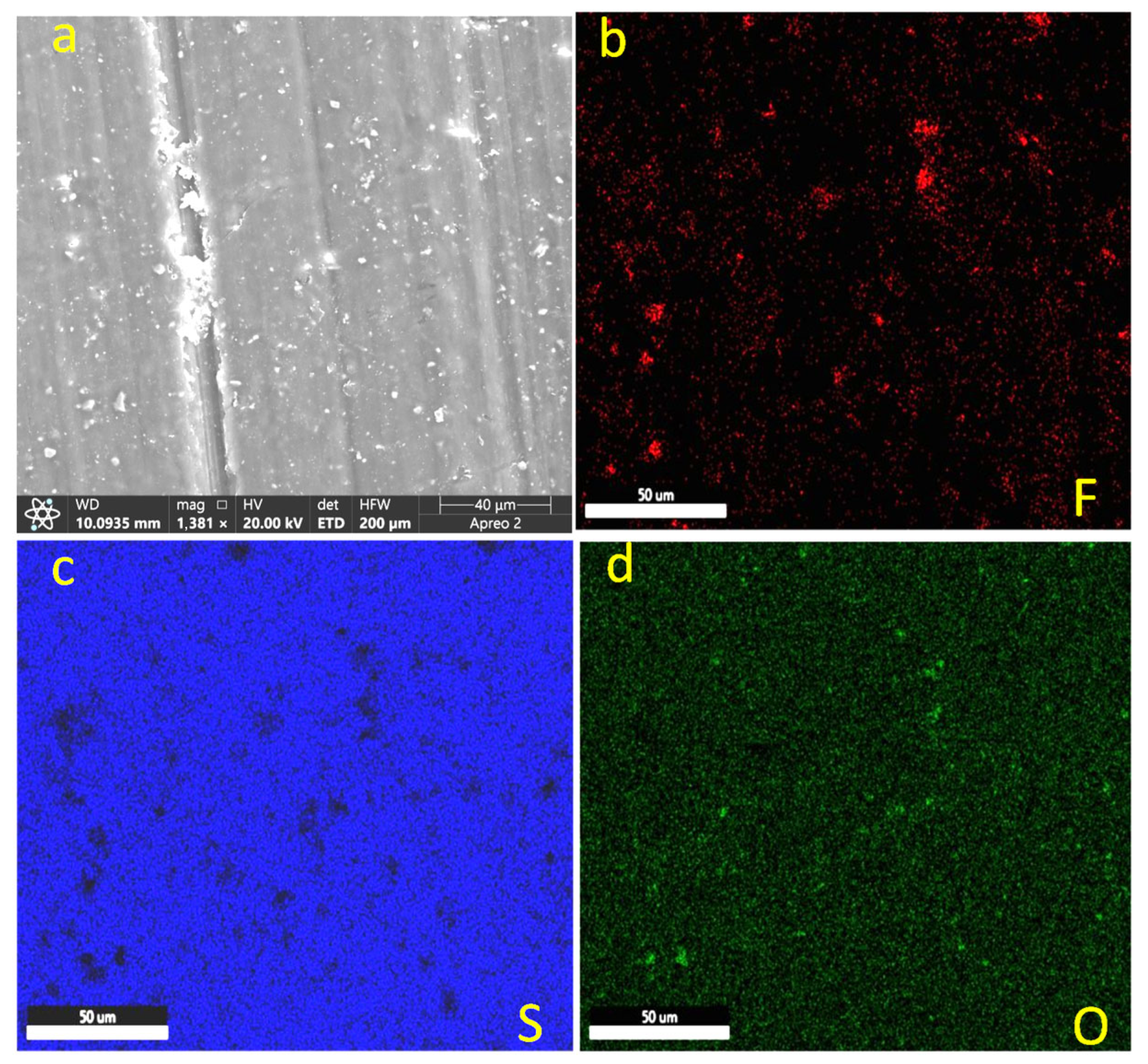 Lubricants 13 00535 g014