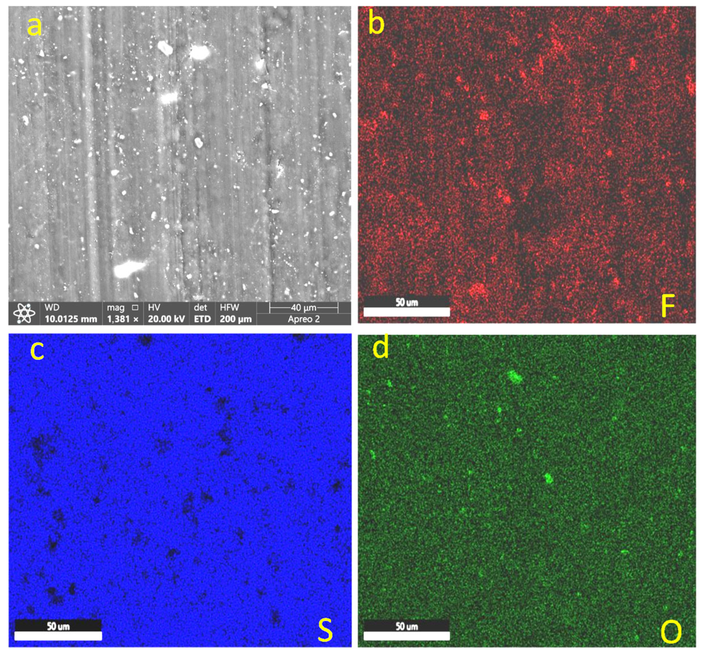 Lubricants 13 00535 g015