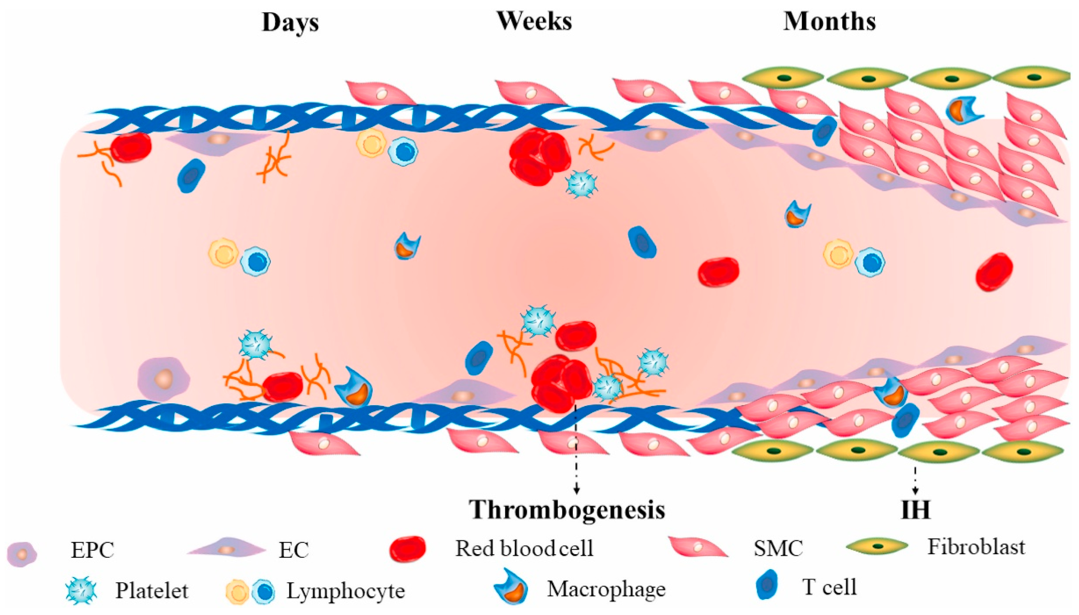 Lubricants 13 00537 g001