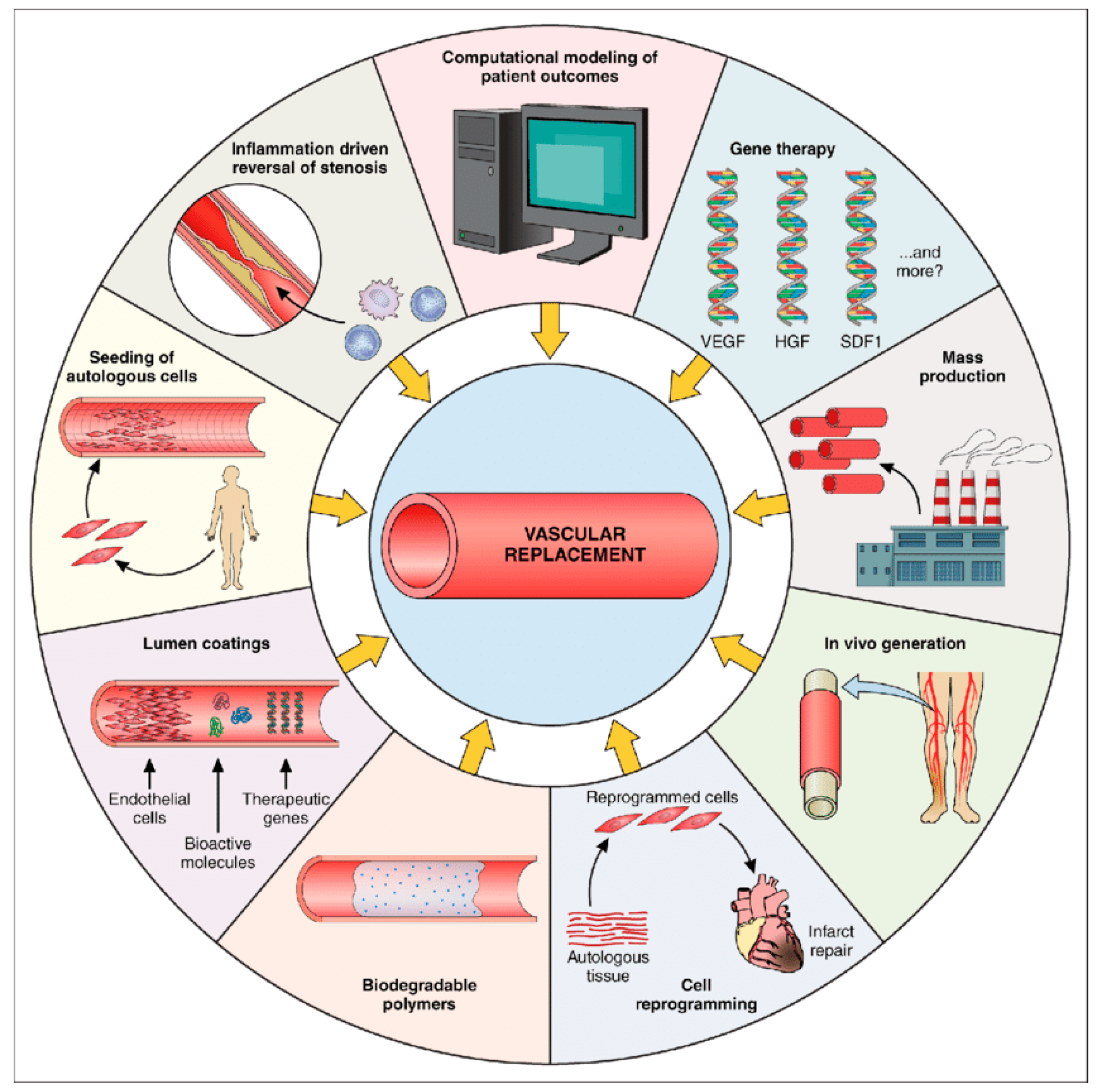 Lubricants 13 00537 g002