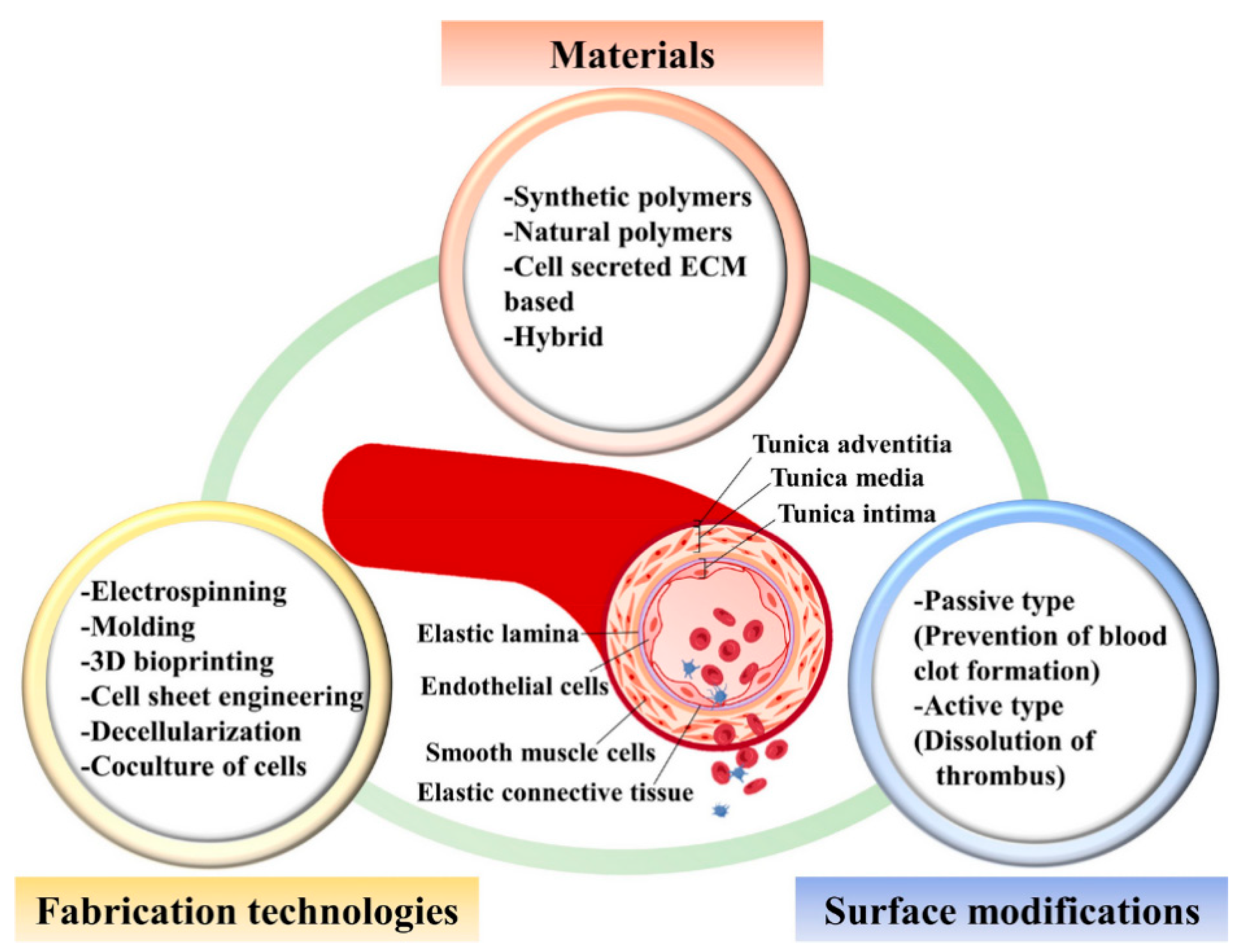 Lubricants 13 00537 g003
