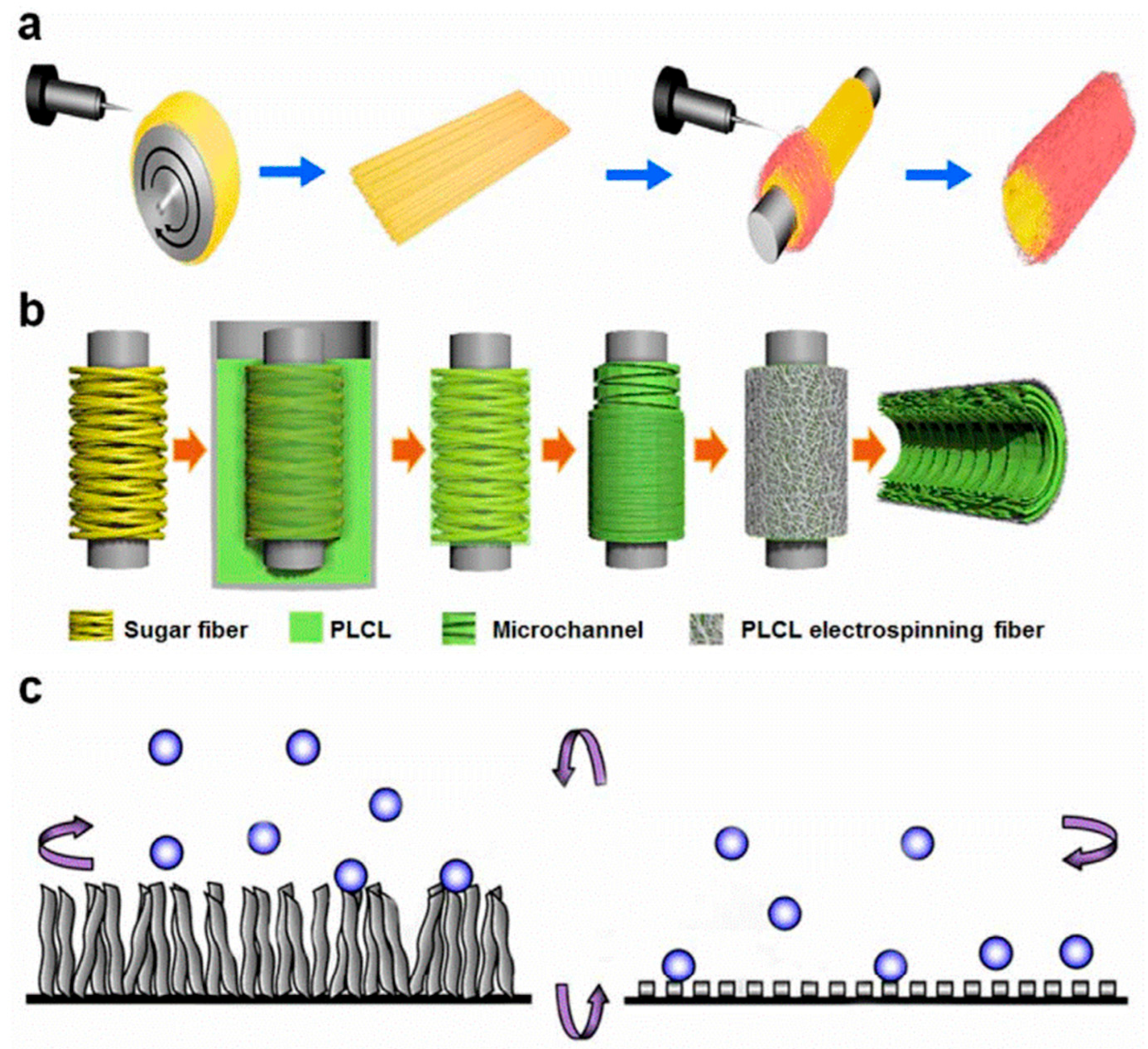Lubricants 13 00537 g004