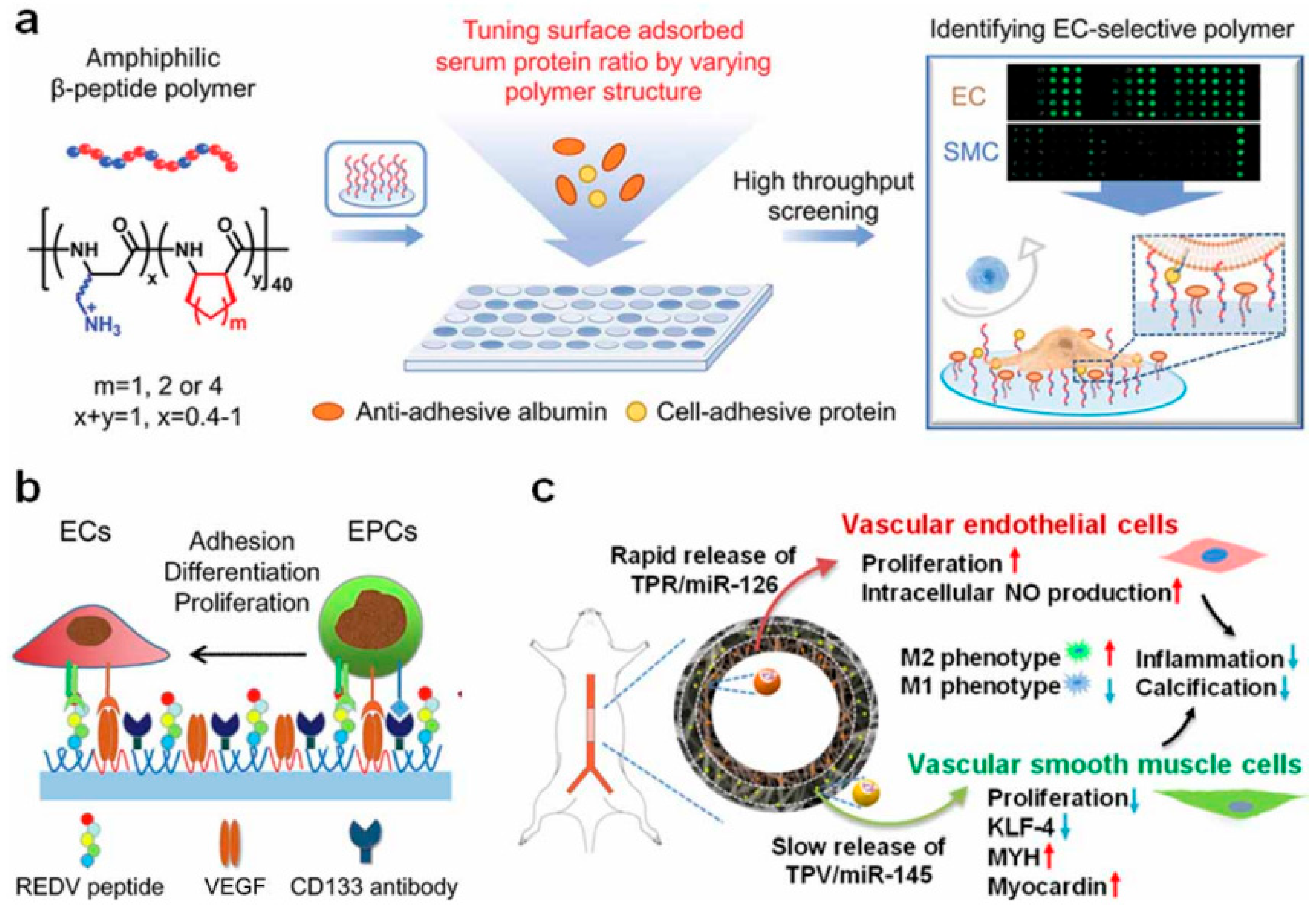 Lubricants 13 00537 g005
