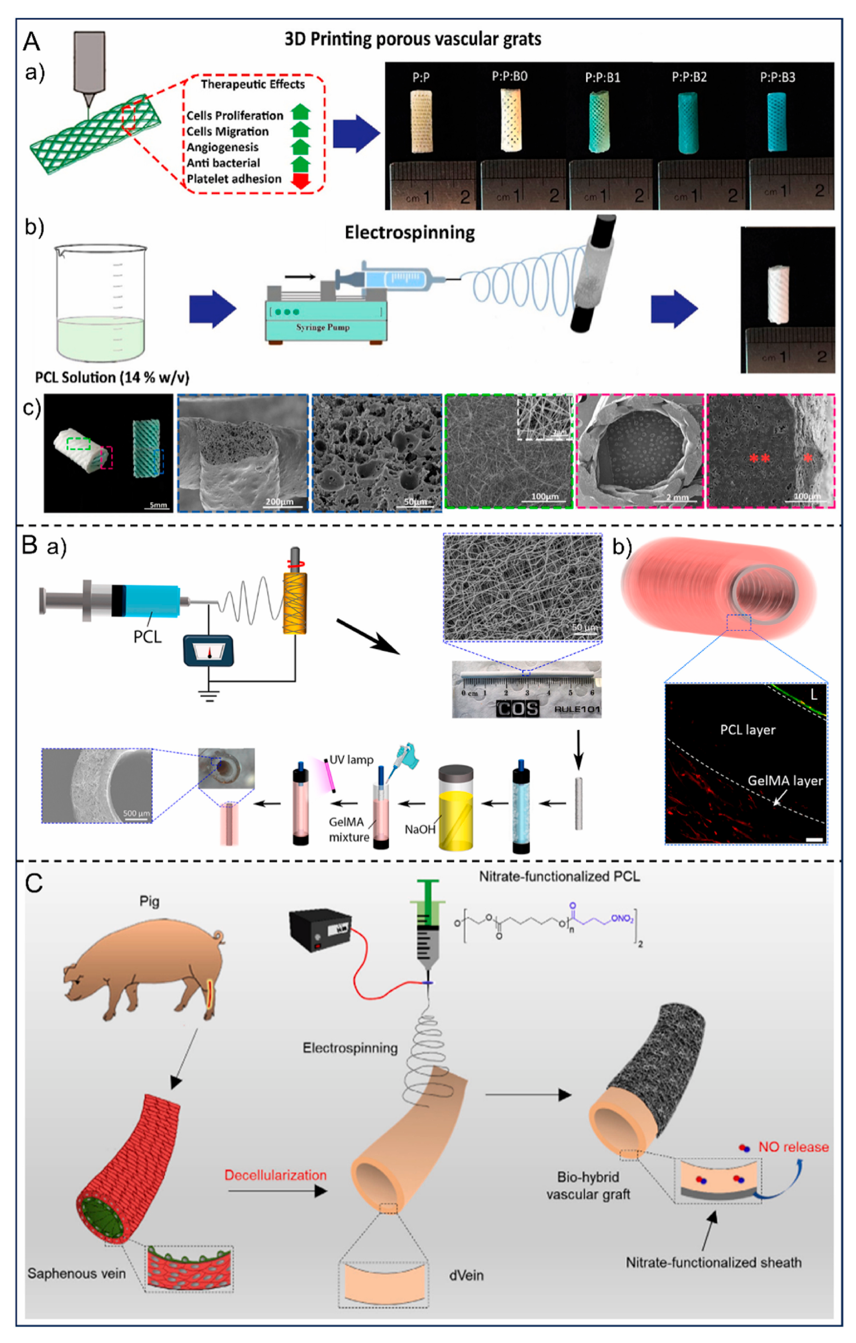 Lubricants 13 00537 g007