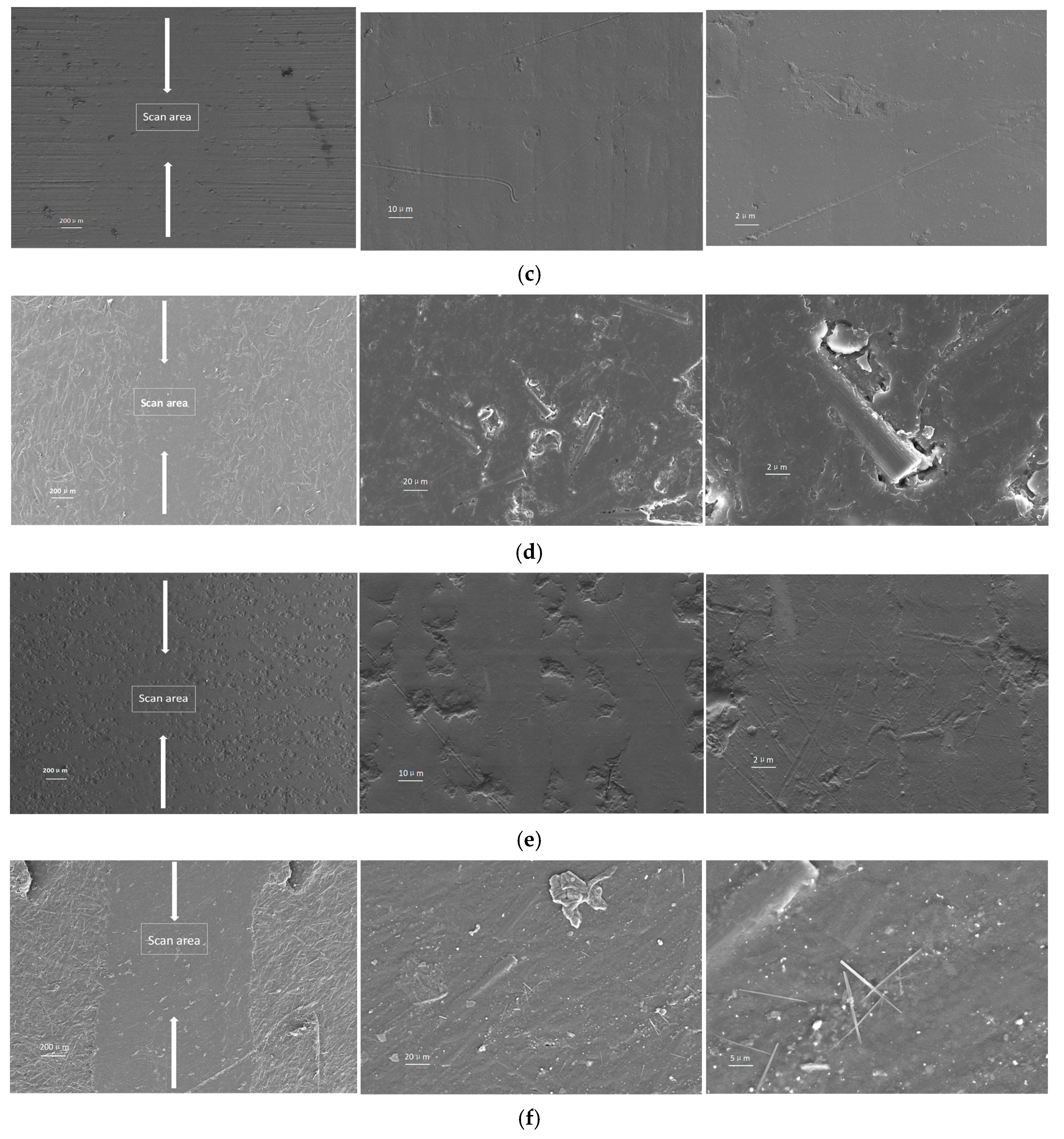 Lubricants 13 00546 g006b