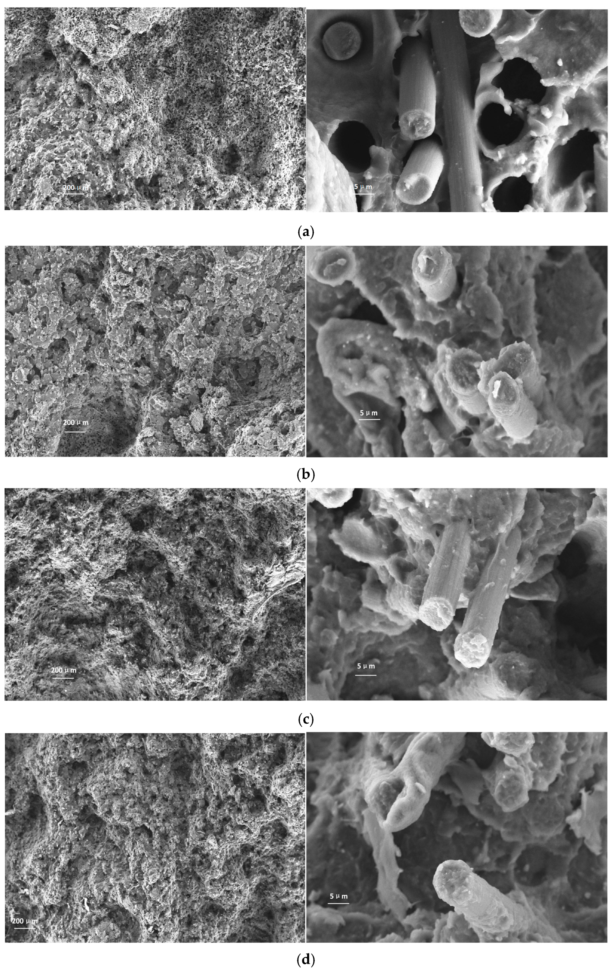 Lubricants 13 00546 g007a