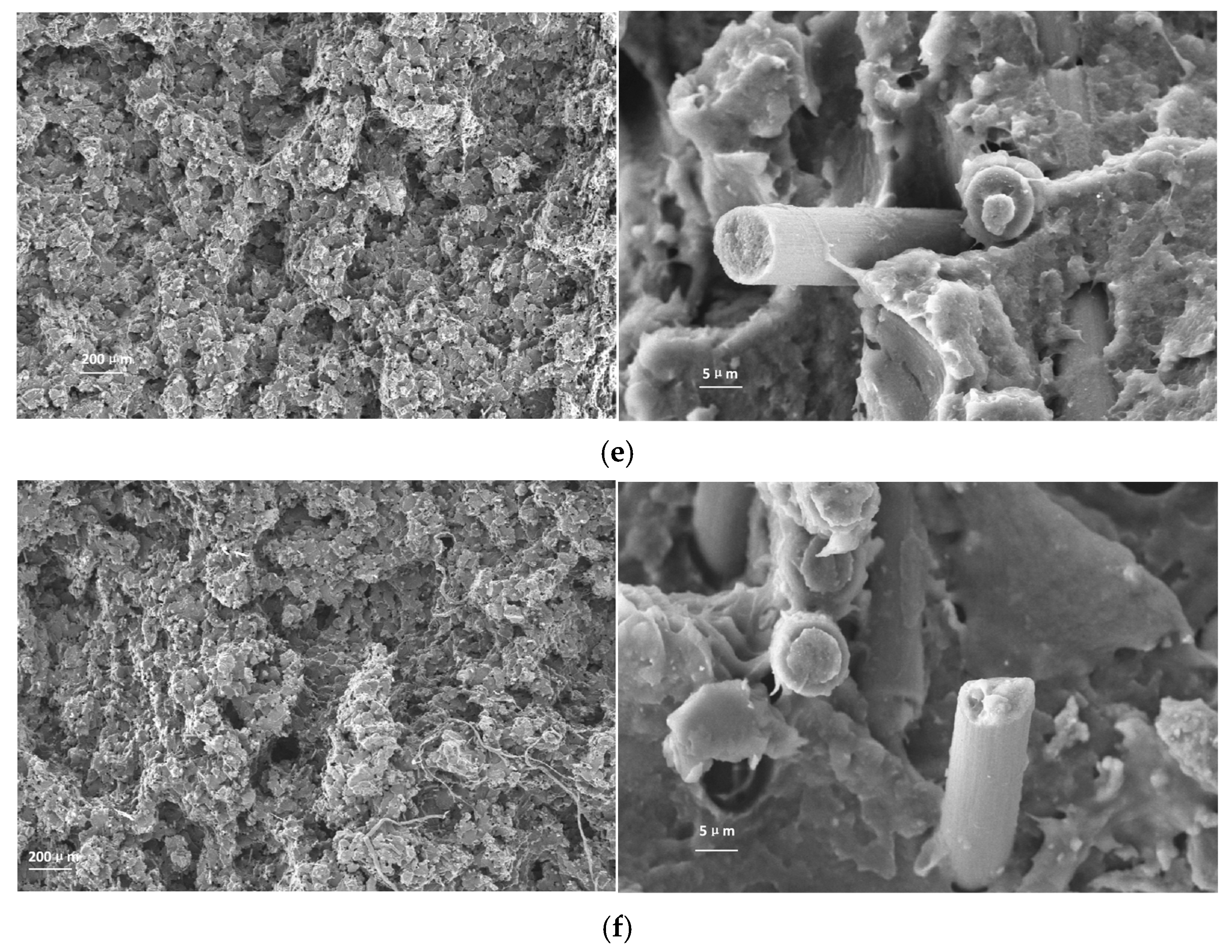 Lubricants 13 00546 g007b