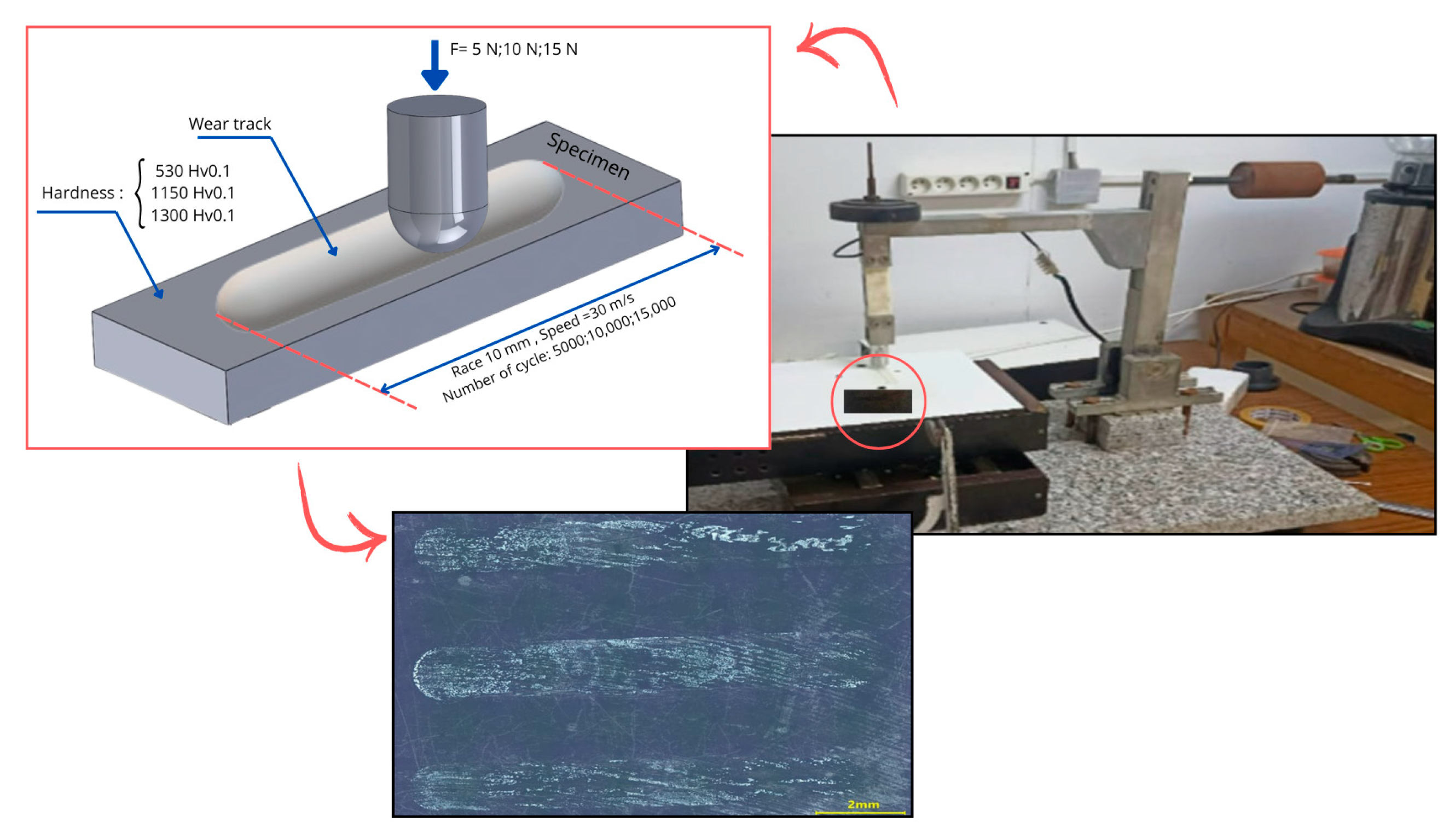 Lubricants 13 00550 g001 Lubricants 13 00550 g001