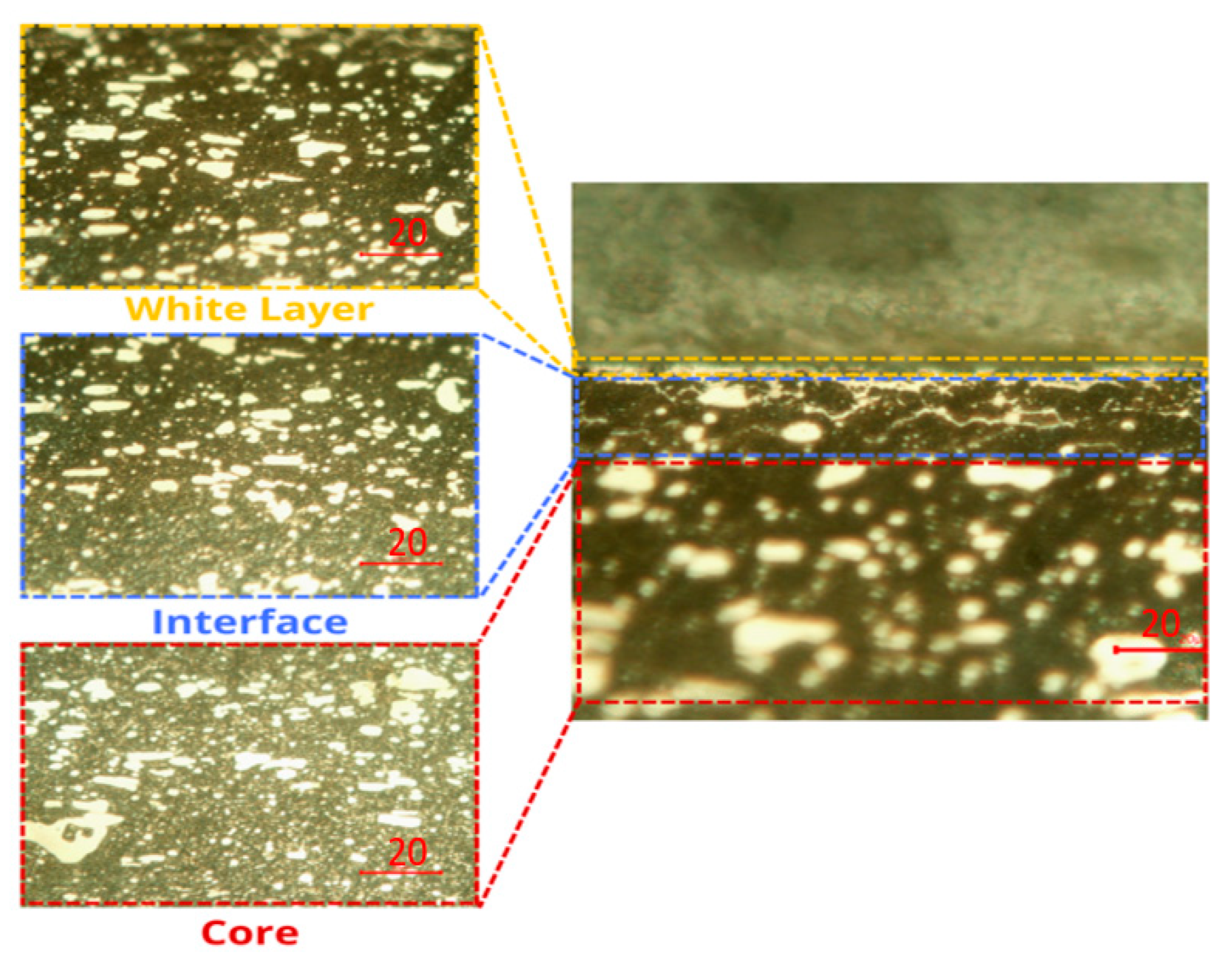 Lubricants 13 00550 g005 Lubricants 13 00550 g005