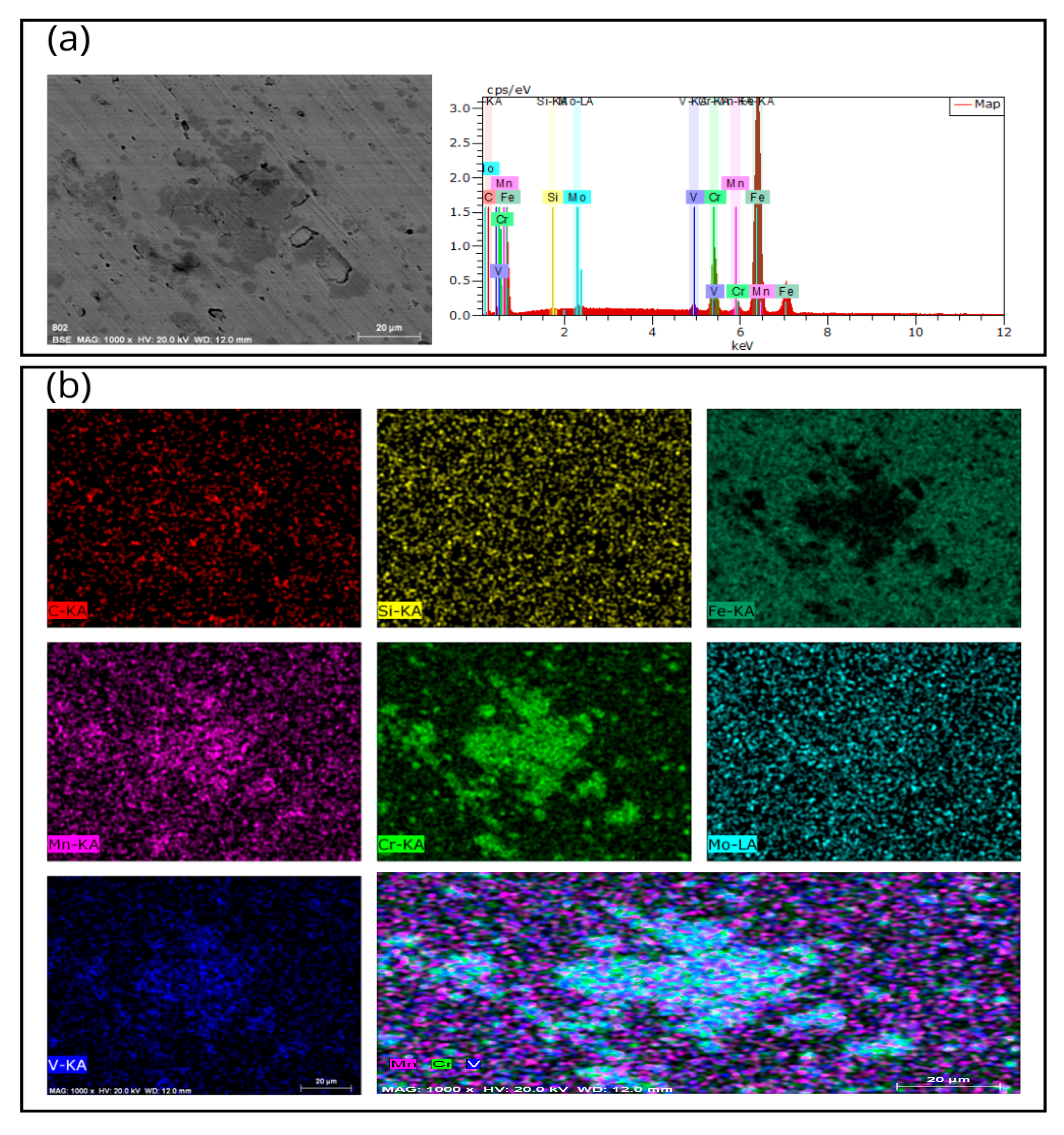 Lubricants 13 00550 g006 Lubricants 13 00550 g006