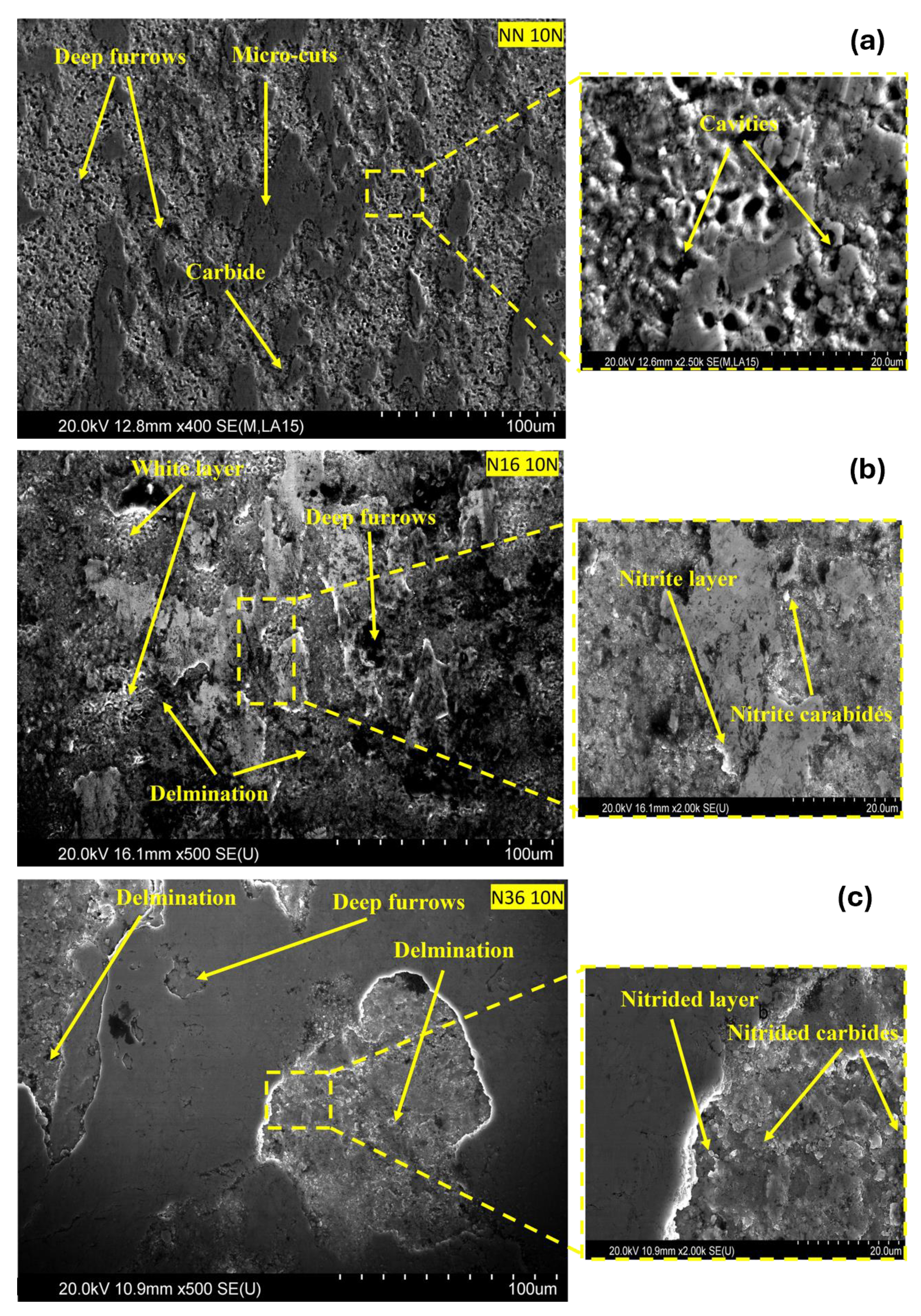 Lubricants 13 00550 g012 Lubricants 13 00550 g012