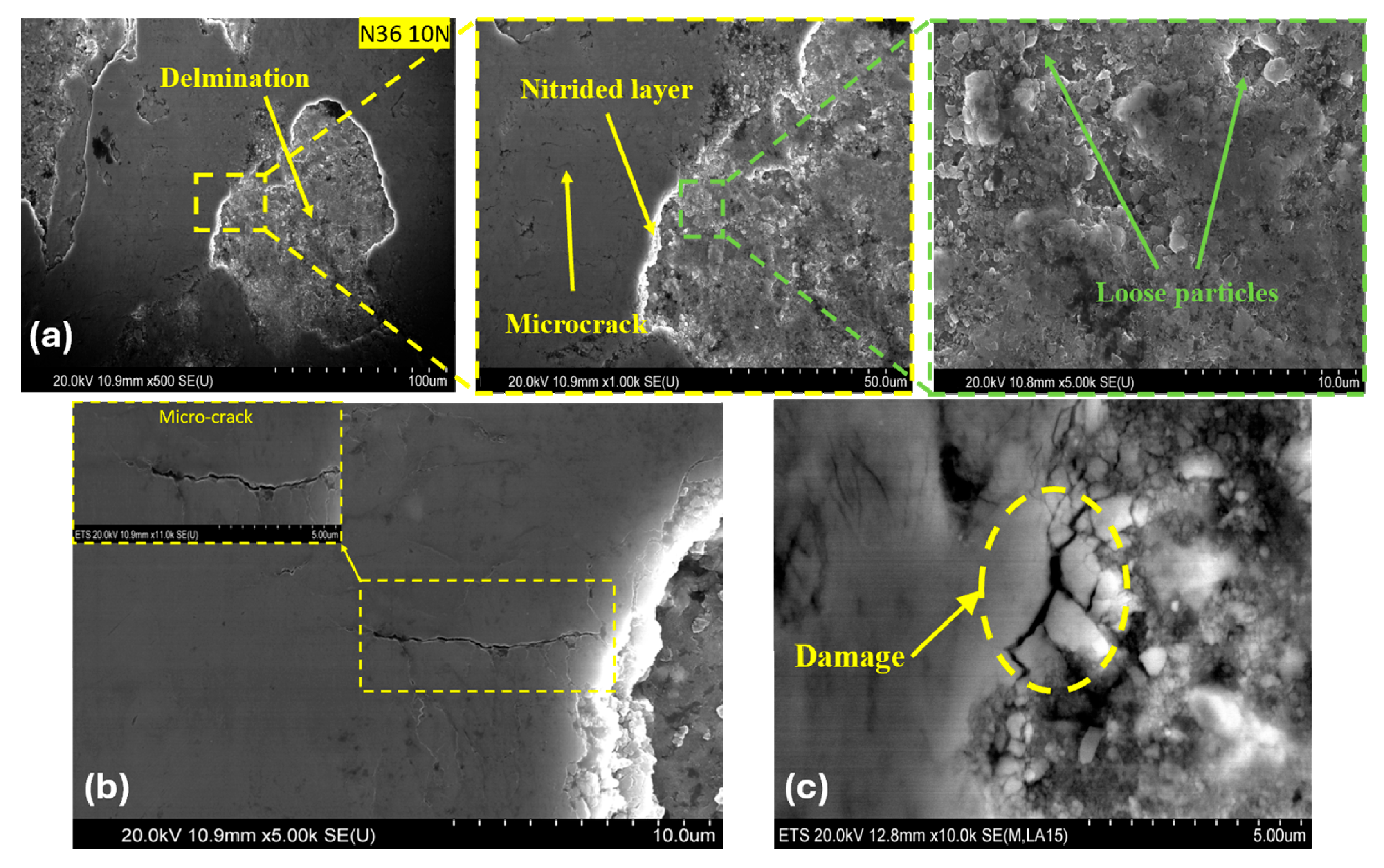 Lubricants 13 00550 g013 Lubricants 13 00550 g013