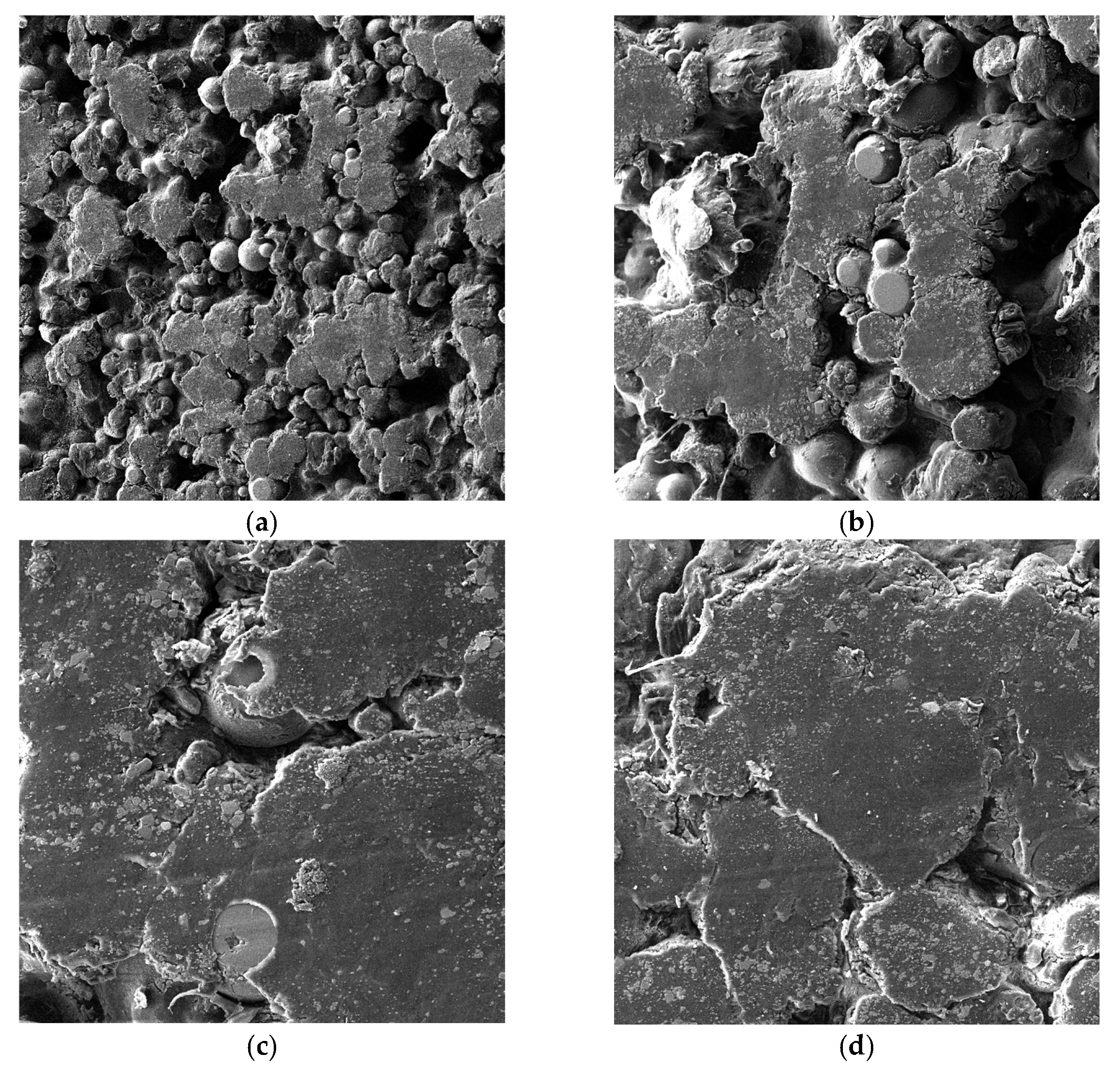 Lubricants 14 00031 g010