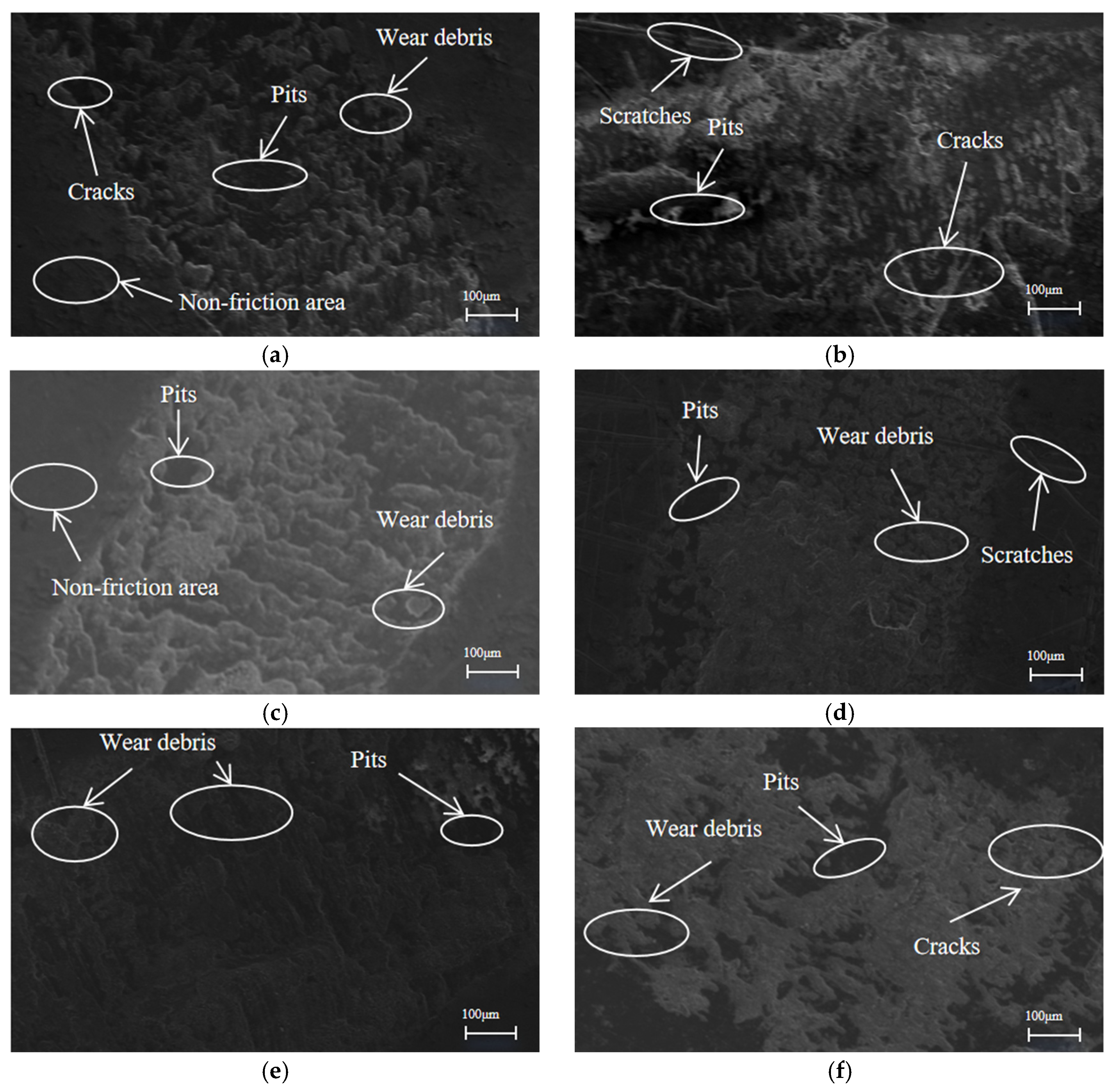 Lubricants 14 00040 g016
