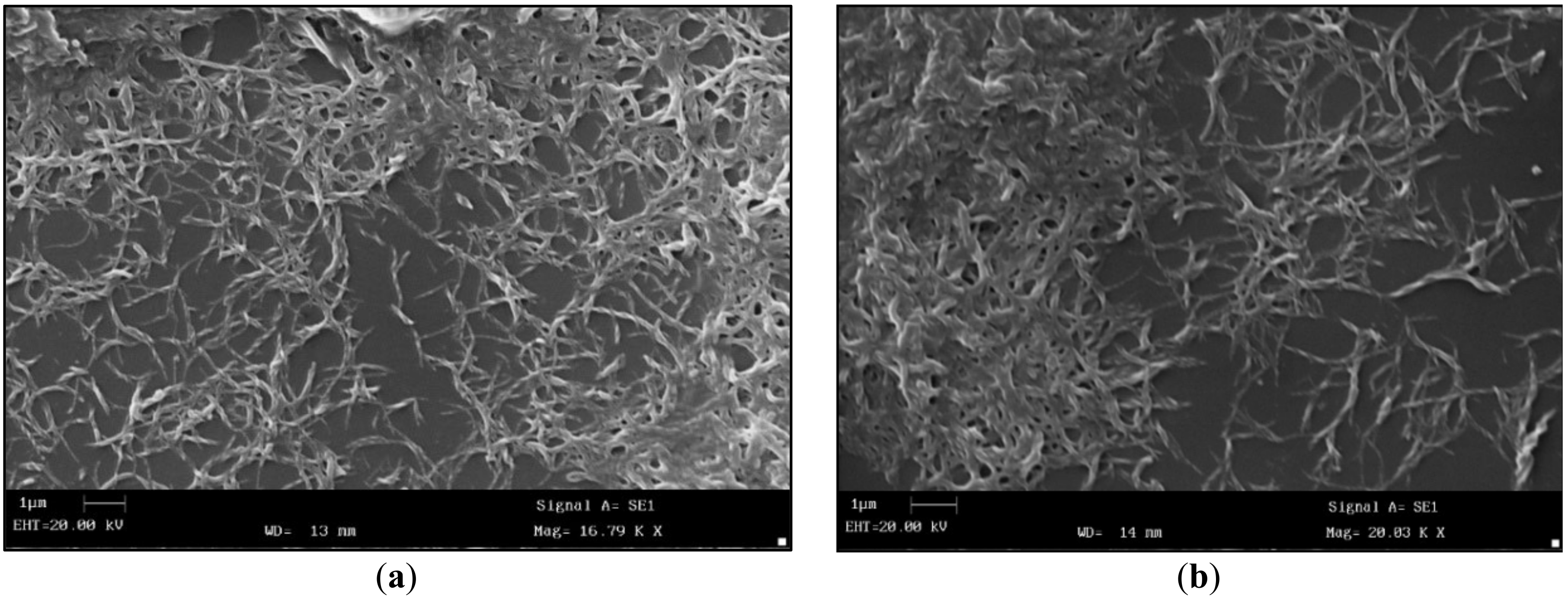 Lubricants 14 00041 g001 Lubricants 14 00041 g001