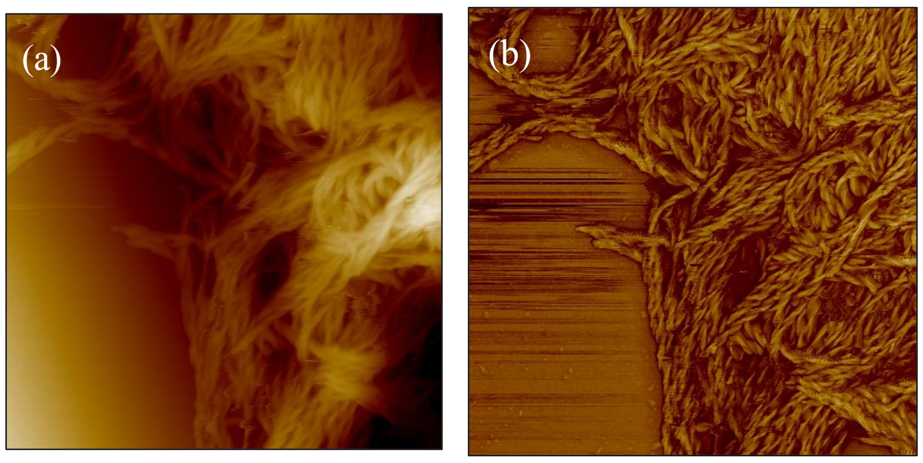 Lubricants 14 00041 g003 Lubricants 14 00041 g003