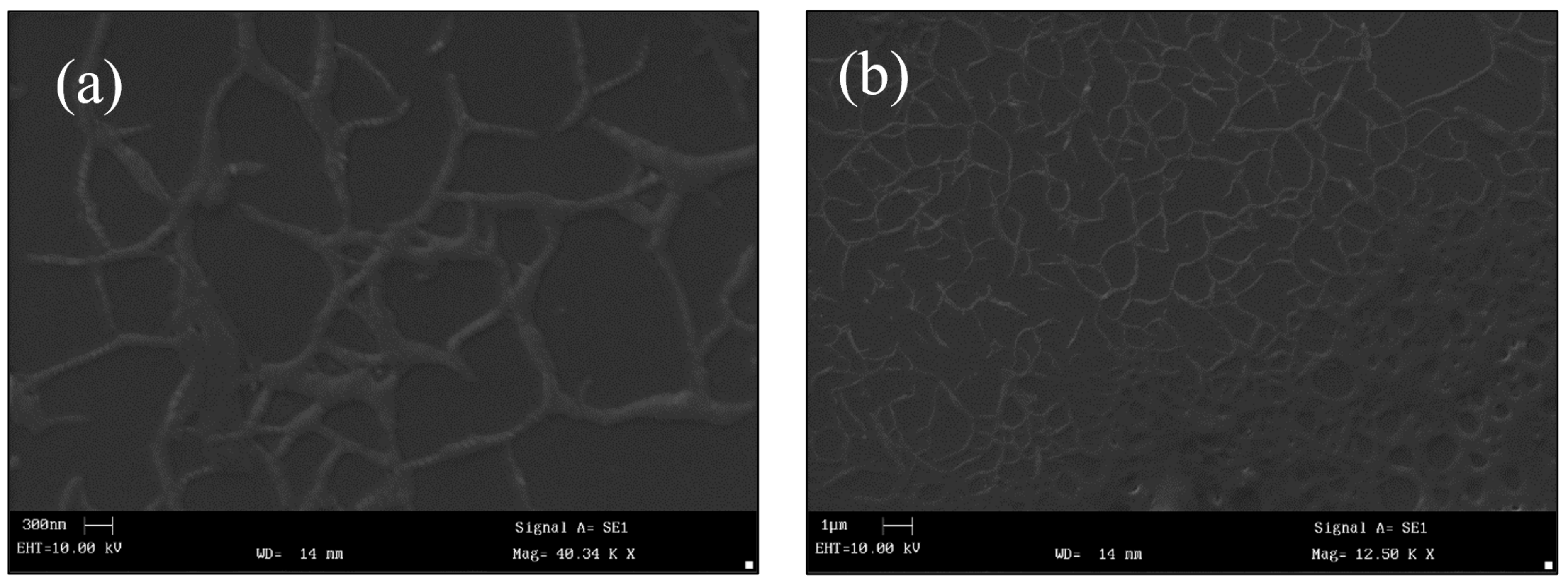 Lubricants 14 00041 g004 Lubricants 14 00041 g004