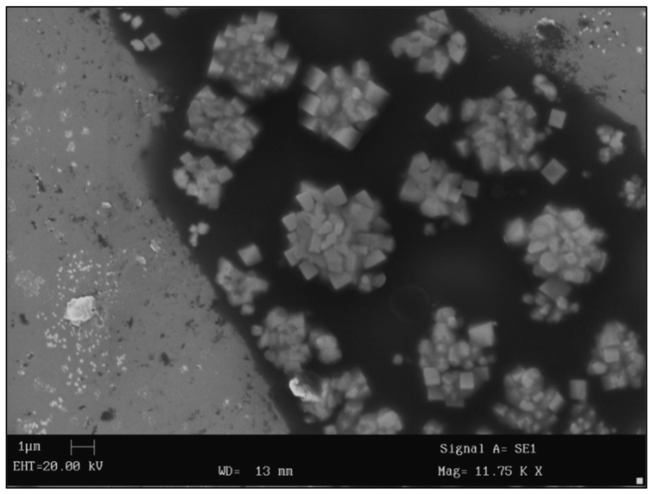 Lubricants 14 00041 g006 Lubricants 14 00041 g006