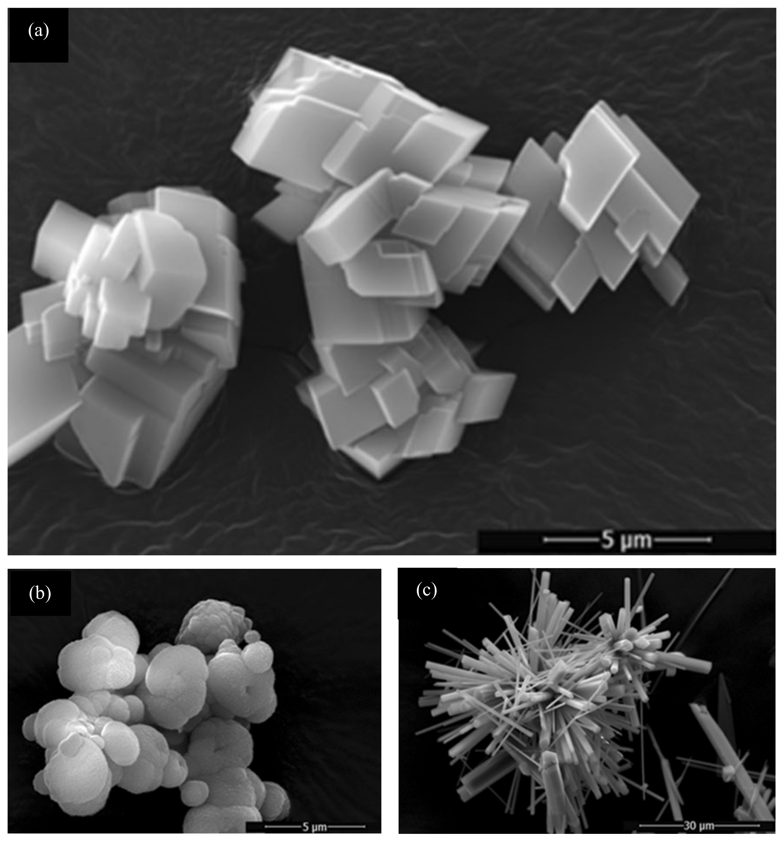 Lubricants 14 00041 g007 Lubricants 14 00041 g007