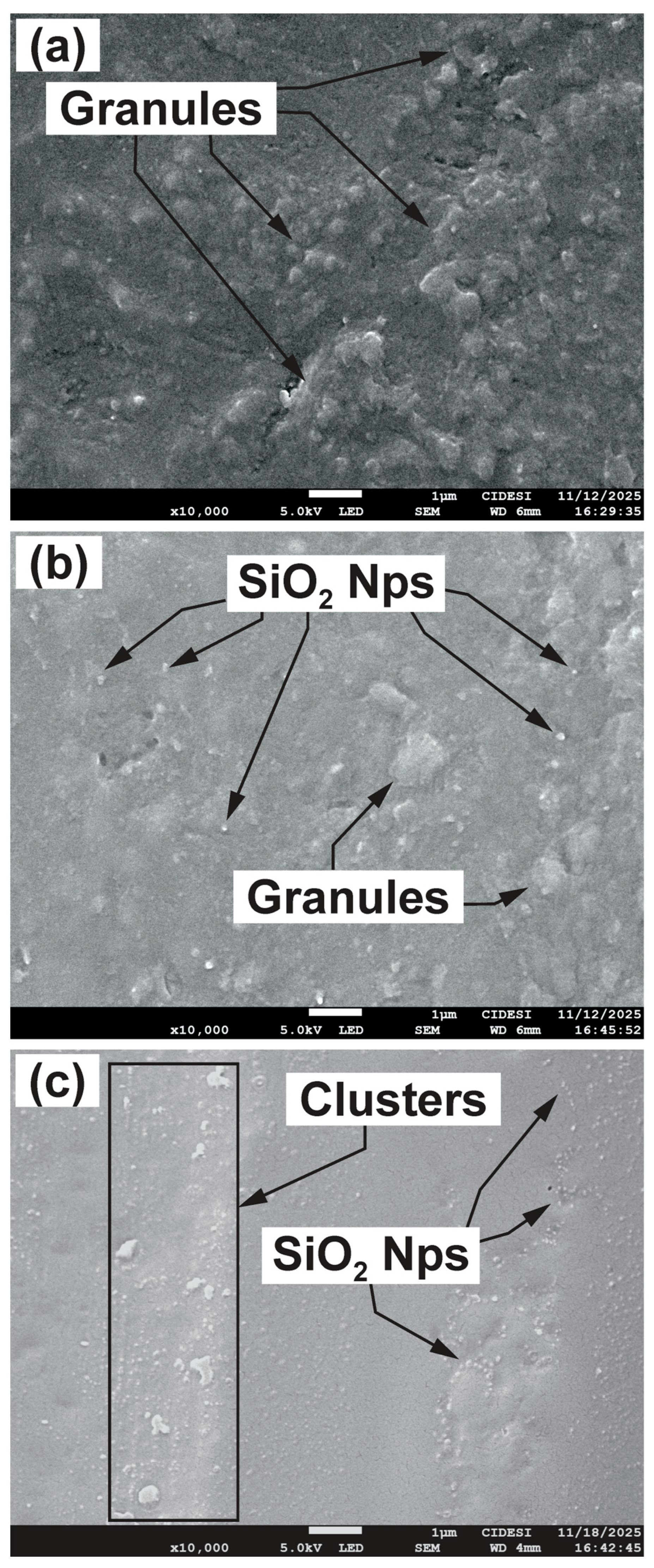 Lubricants 14 00065 g008 Lubricants 14 00065 g008