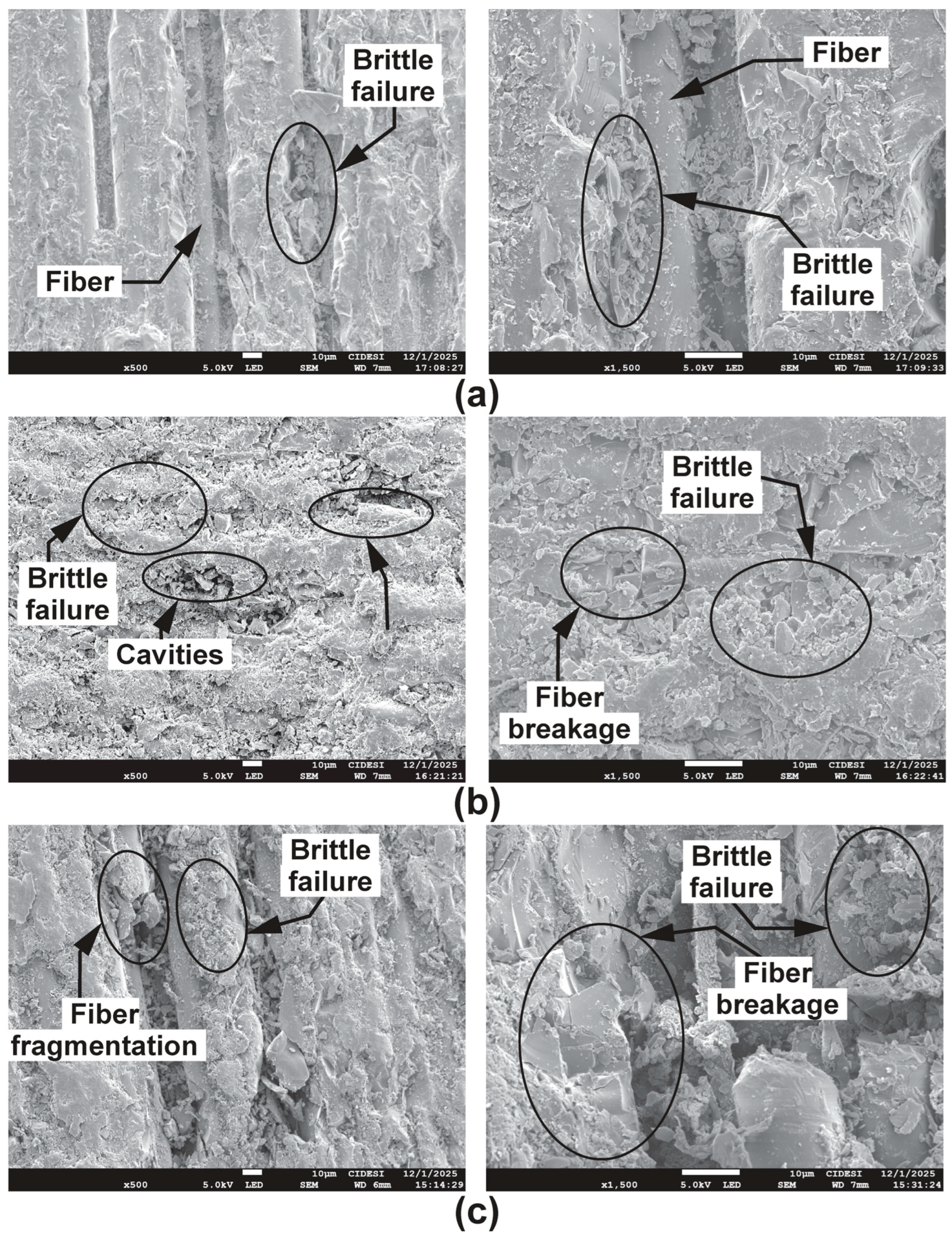 Lubricants 14 00065 g013 Lubricants 14 00065 g013